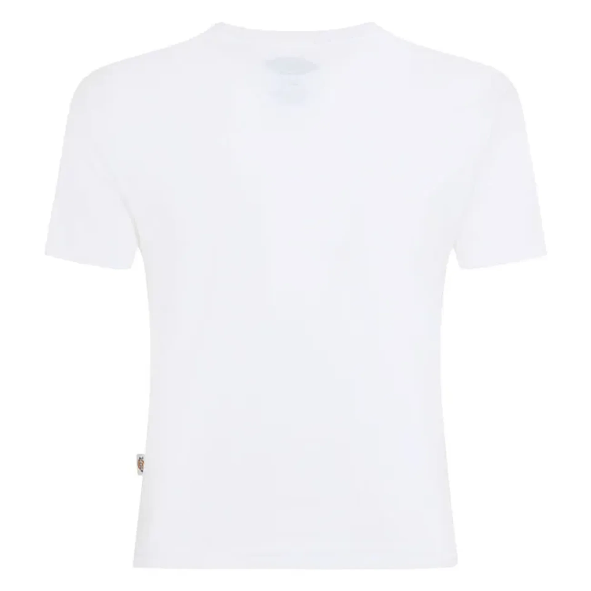 Dickies Maple Valley female t-shirt white