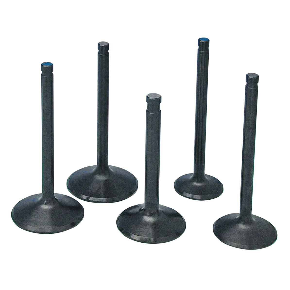 St.steel valve in Pan 48-65 #18071-48