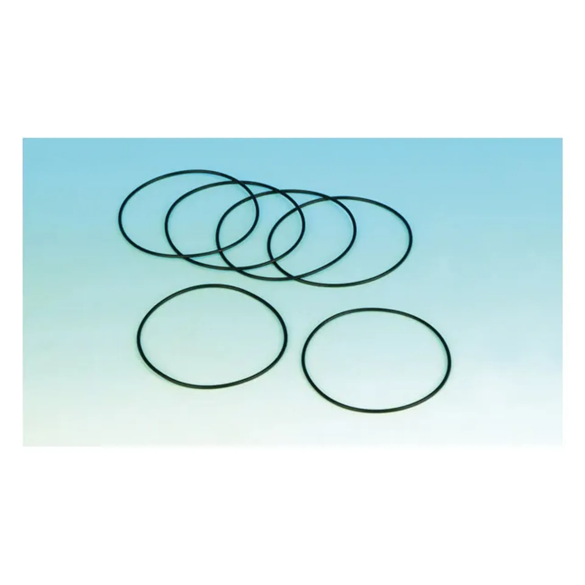 James, O-ring turn signal lens