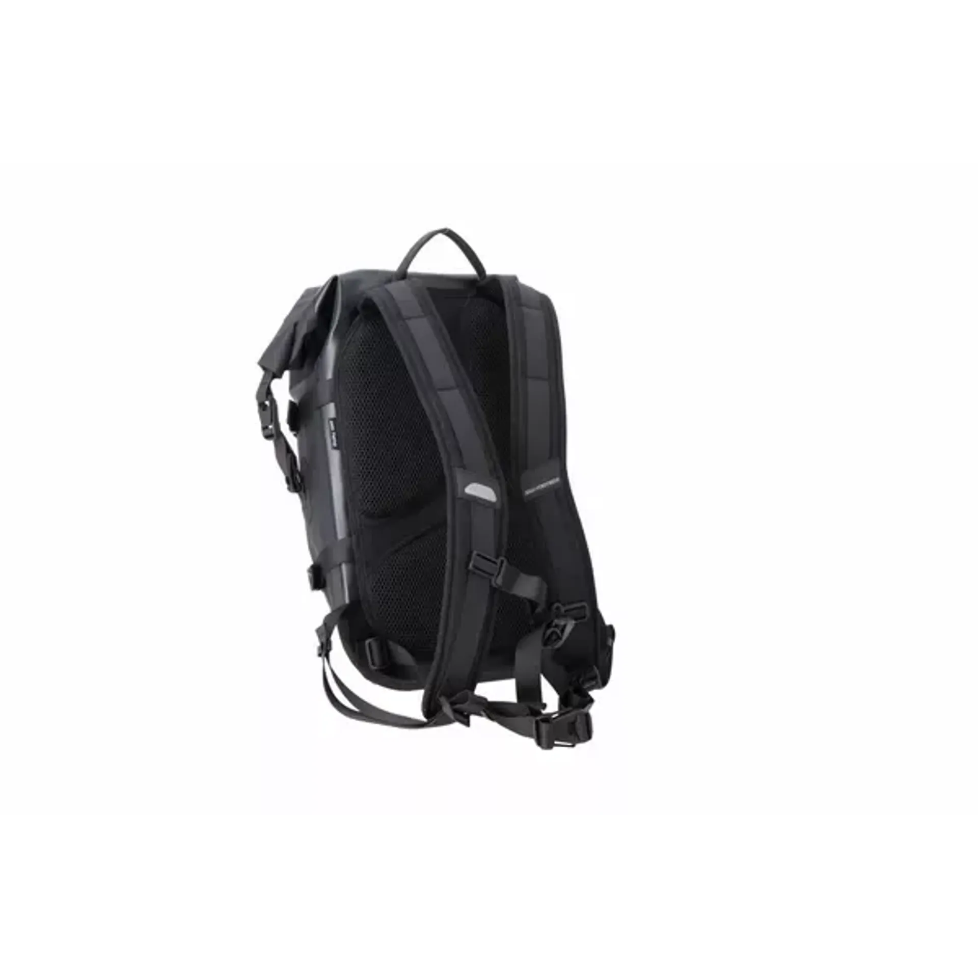 Backpack daily wp