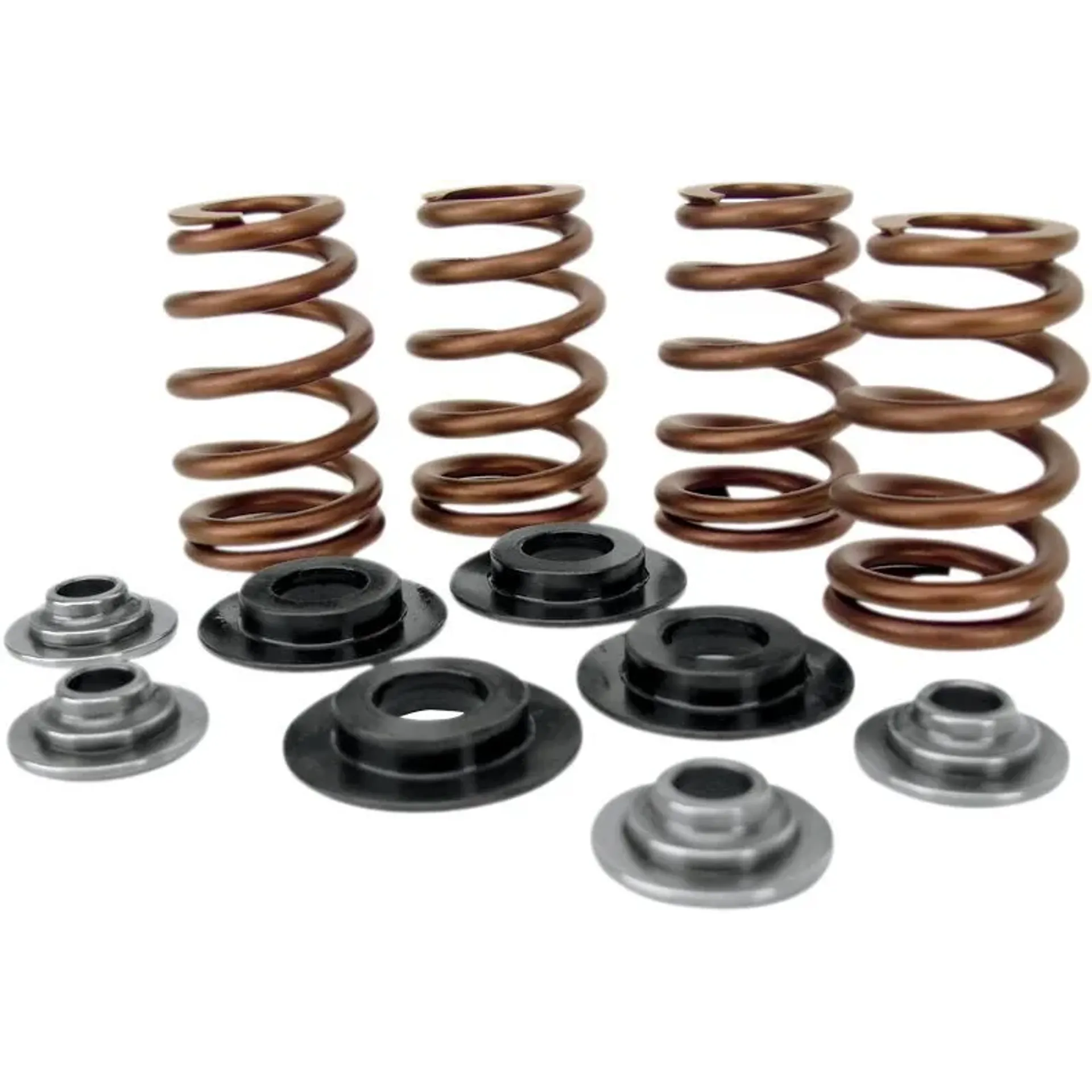 Spring Kit .650 05-17 Tc