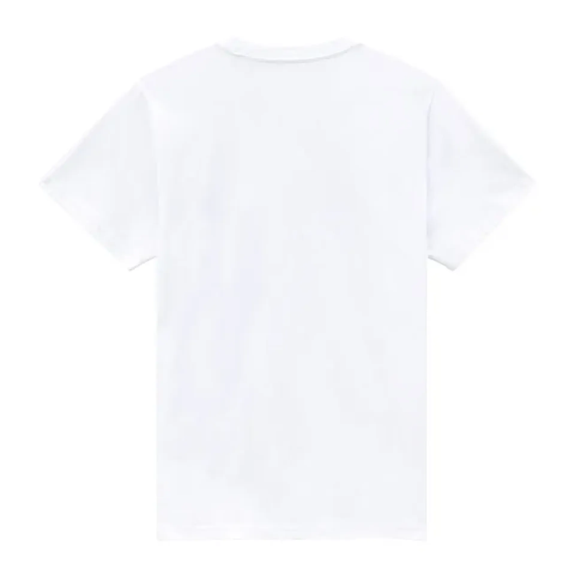 Dickies Mapleton female t-shirt white
