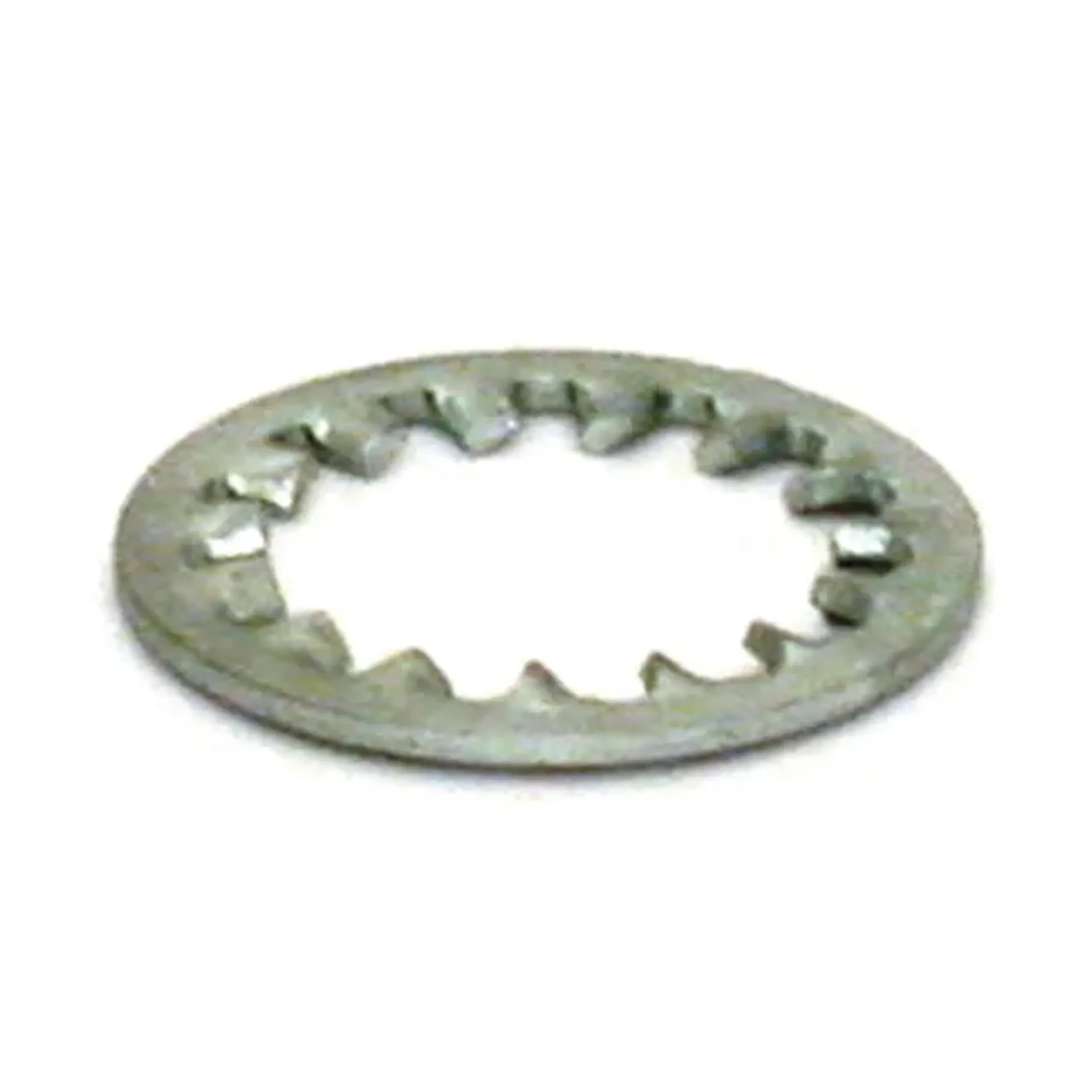 Lockwasher, swingarm bolt