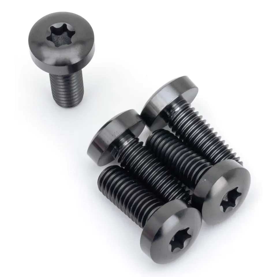 Brake Rotor RR Bolts Titanium Black
