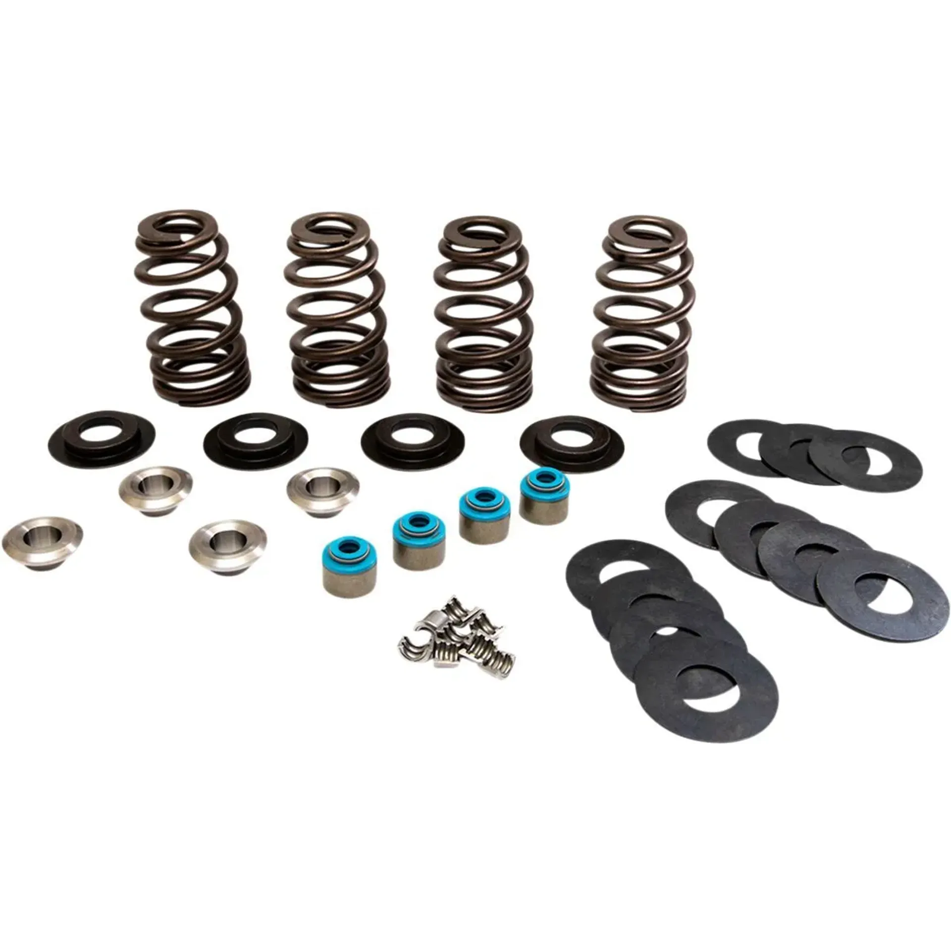 Valve Springs Econo Tc