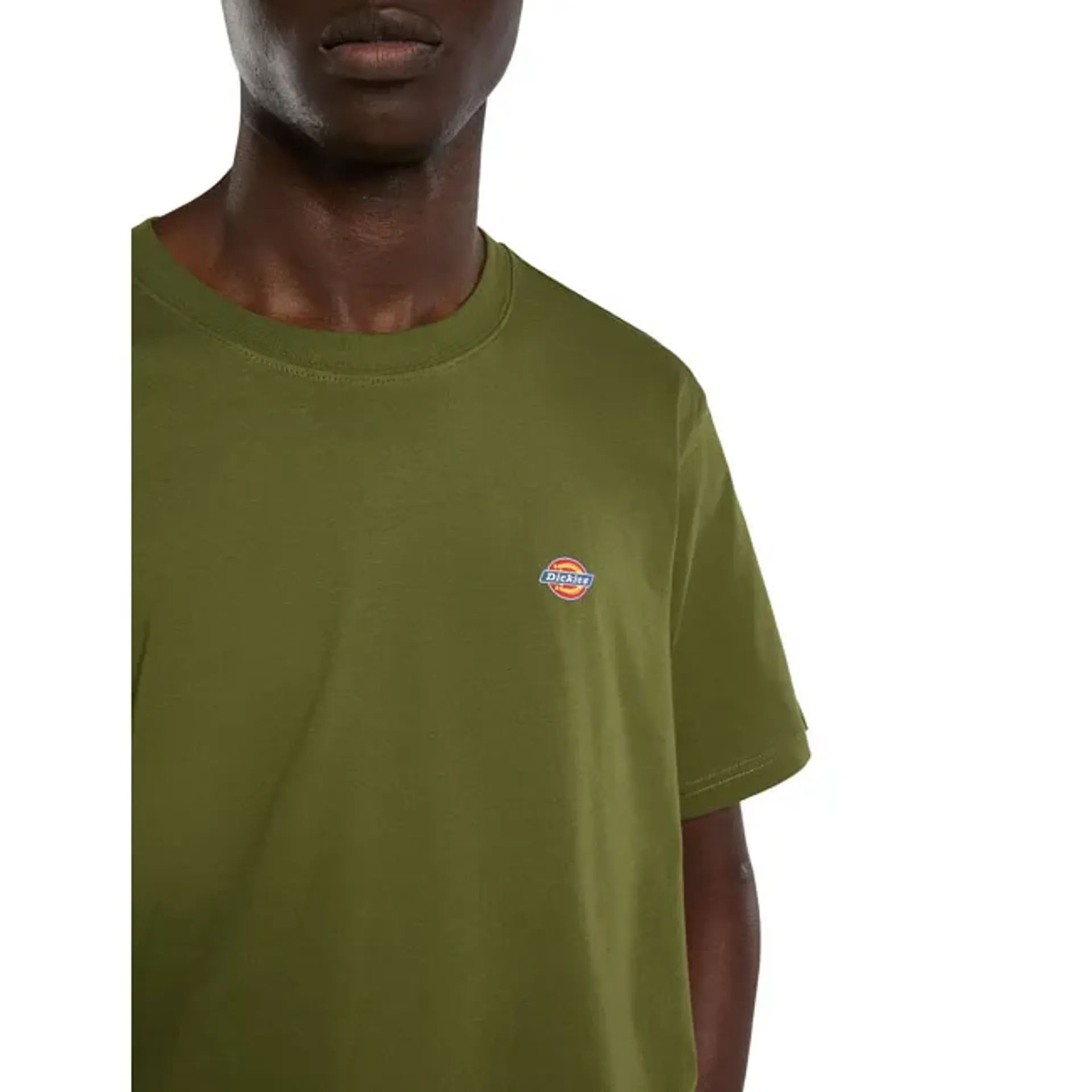 Dickies Mapleton t-shirt cypress