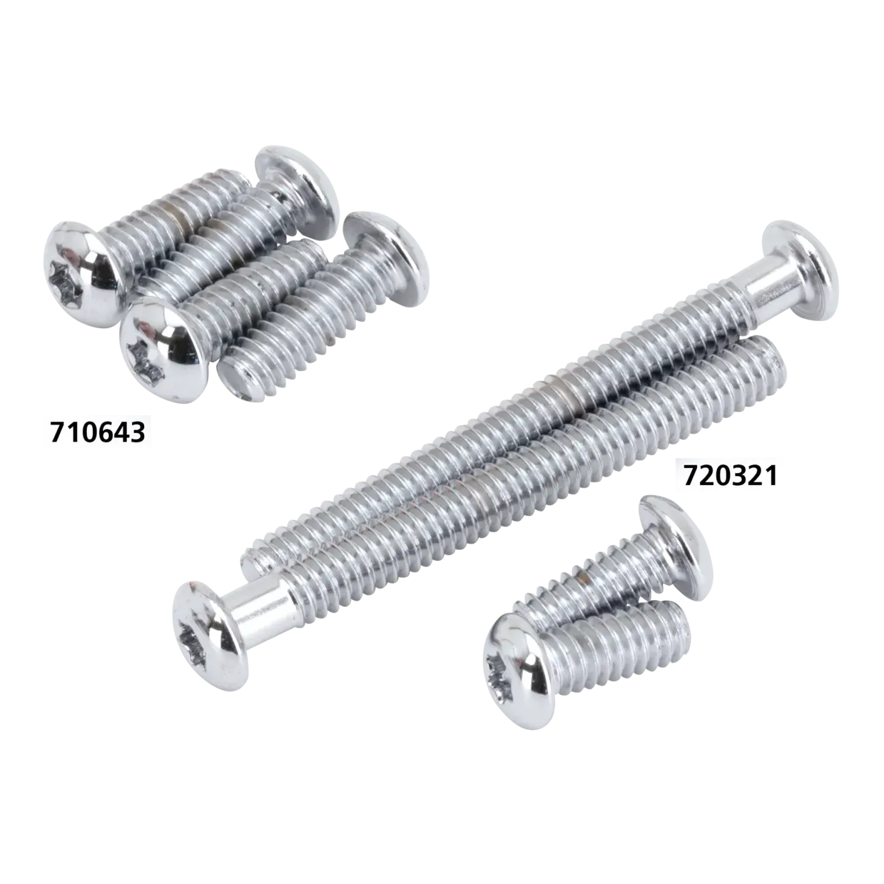 Button Torx Insp. cvr screw kit FLT99-06
