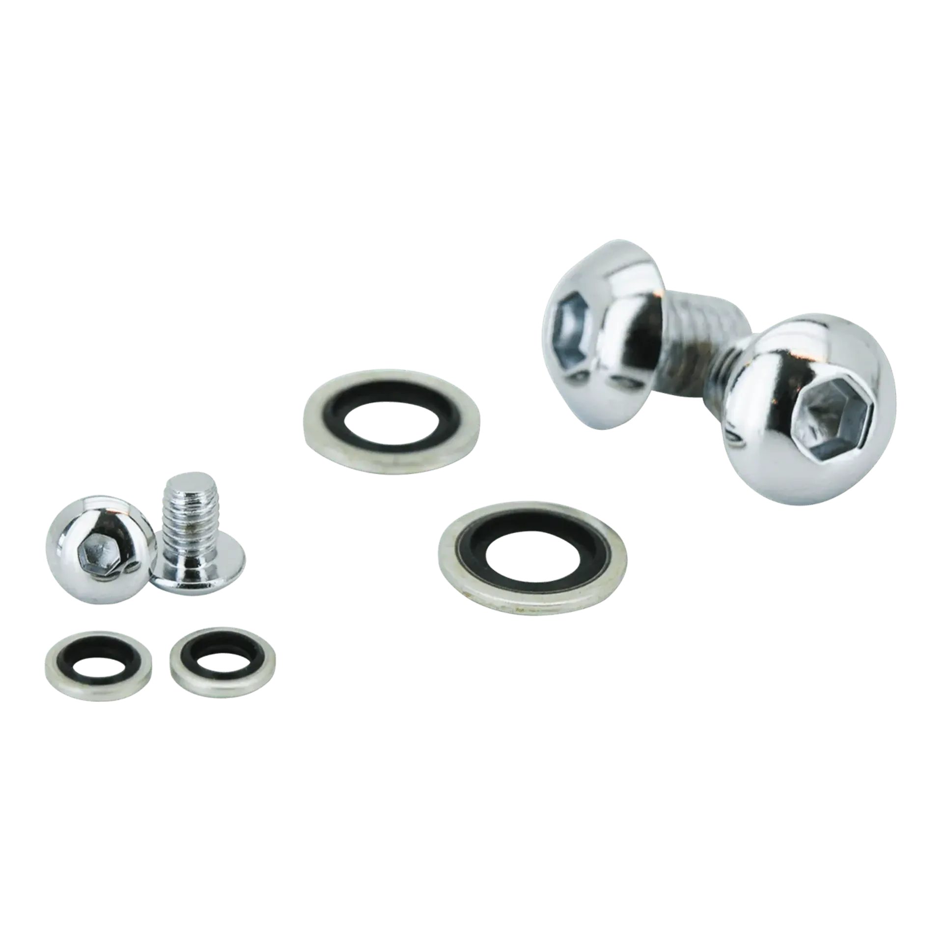 35/39mm Fork Drain Screw Kit Chrome