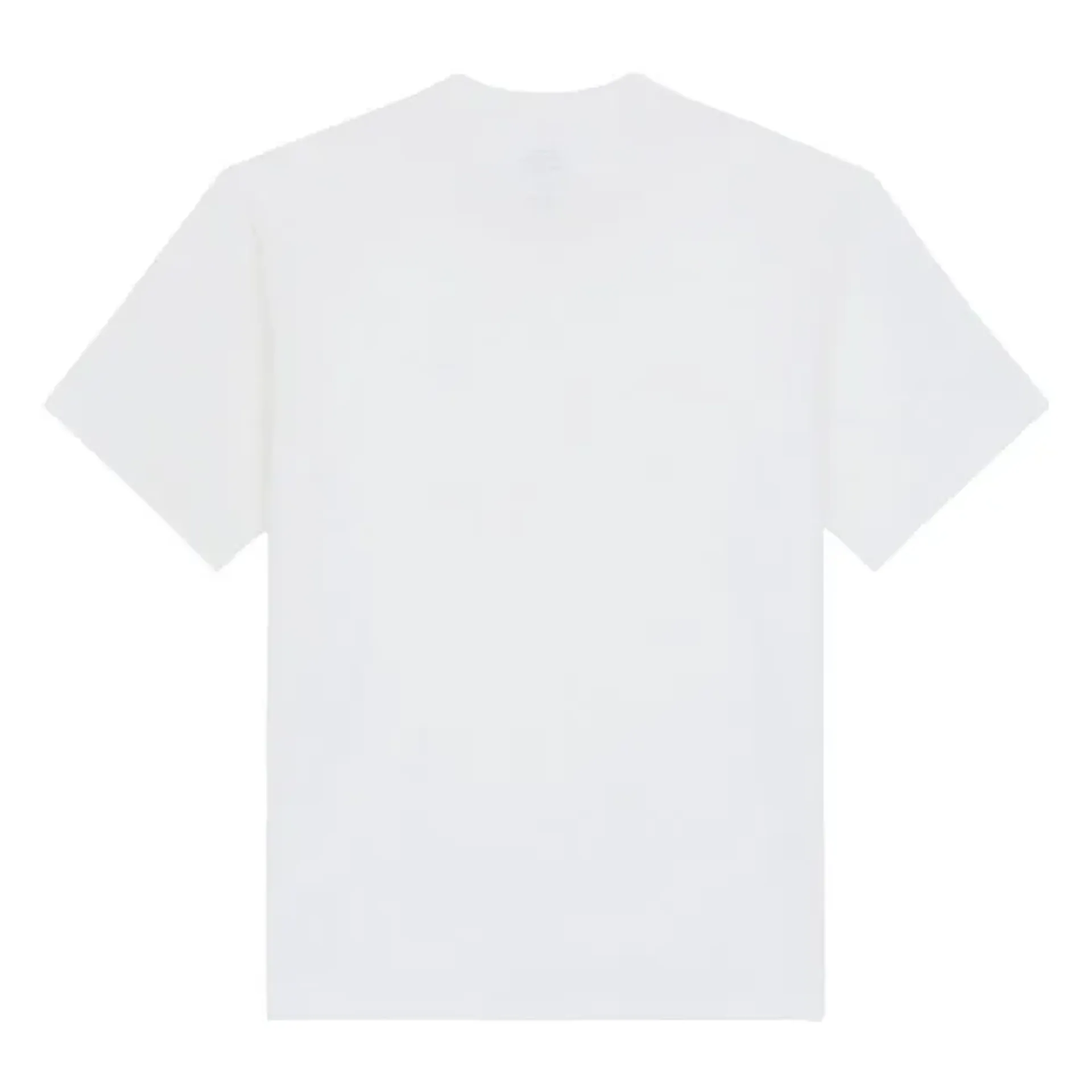 Dickies Clancy Heavyweight t-shirt white