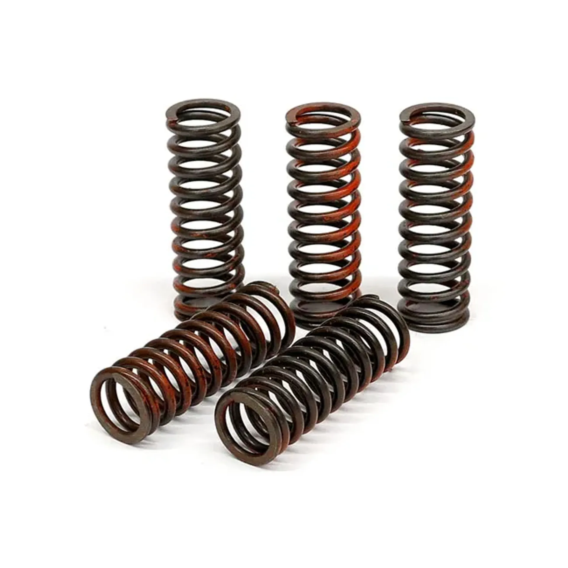 TRW clutch spring kit