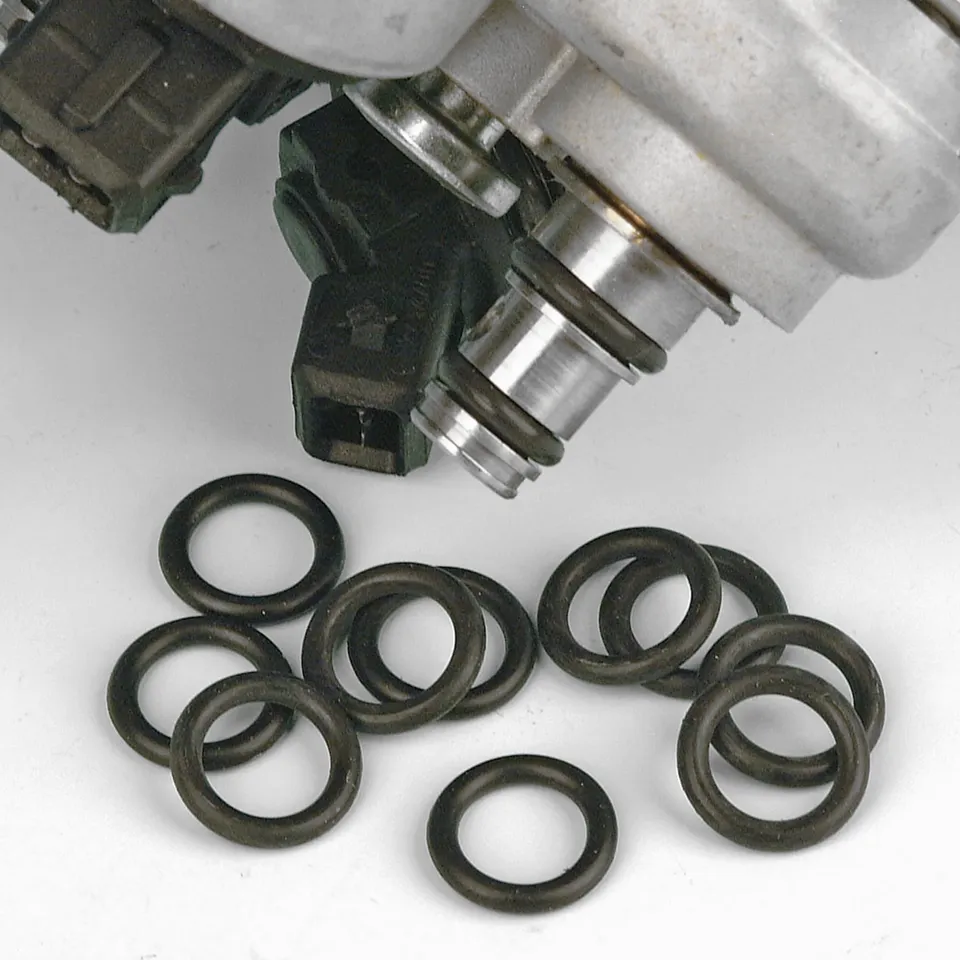 Fuel Fitting O-Rings