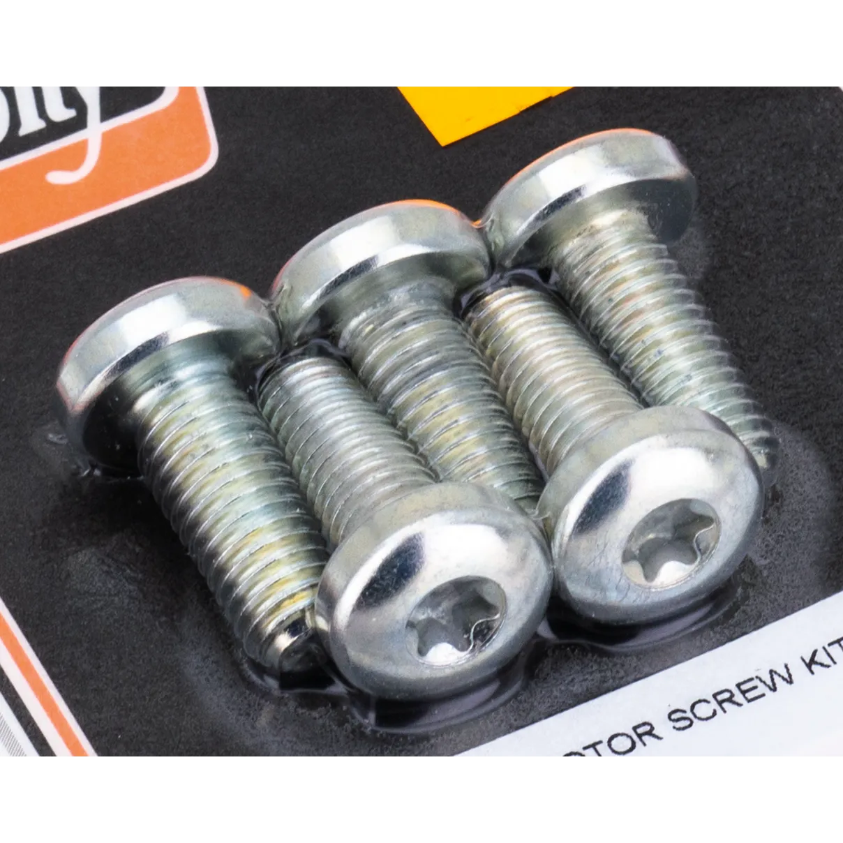 Disc screw kit RR All97-up Spk Zinc