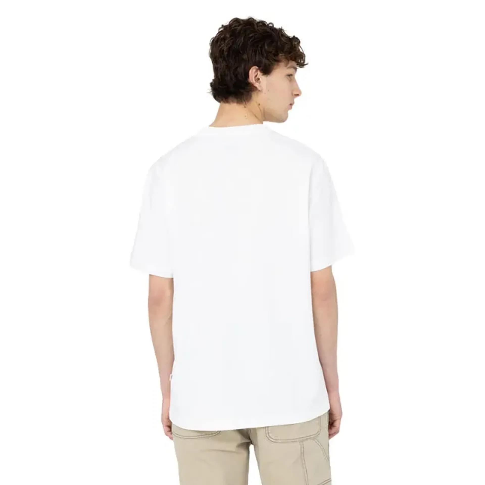Dickies Summerdale t-shirt white
