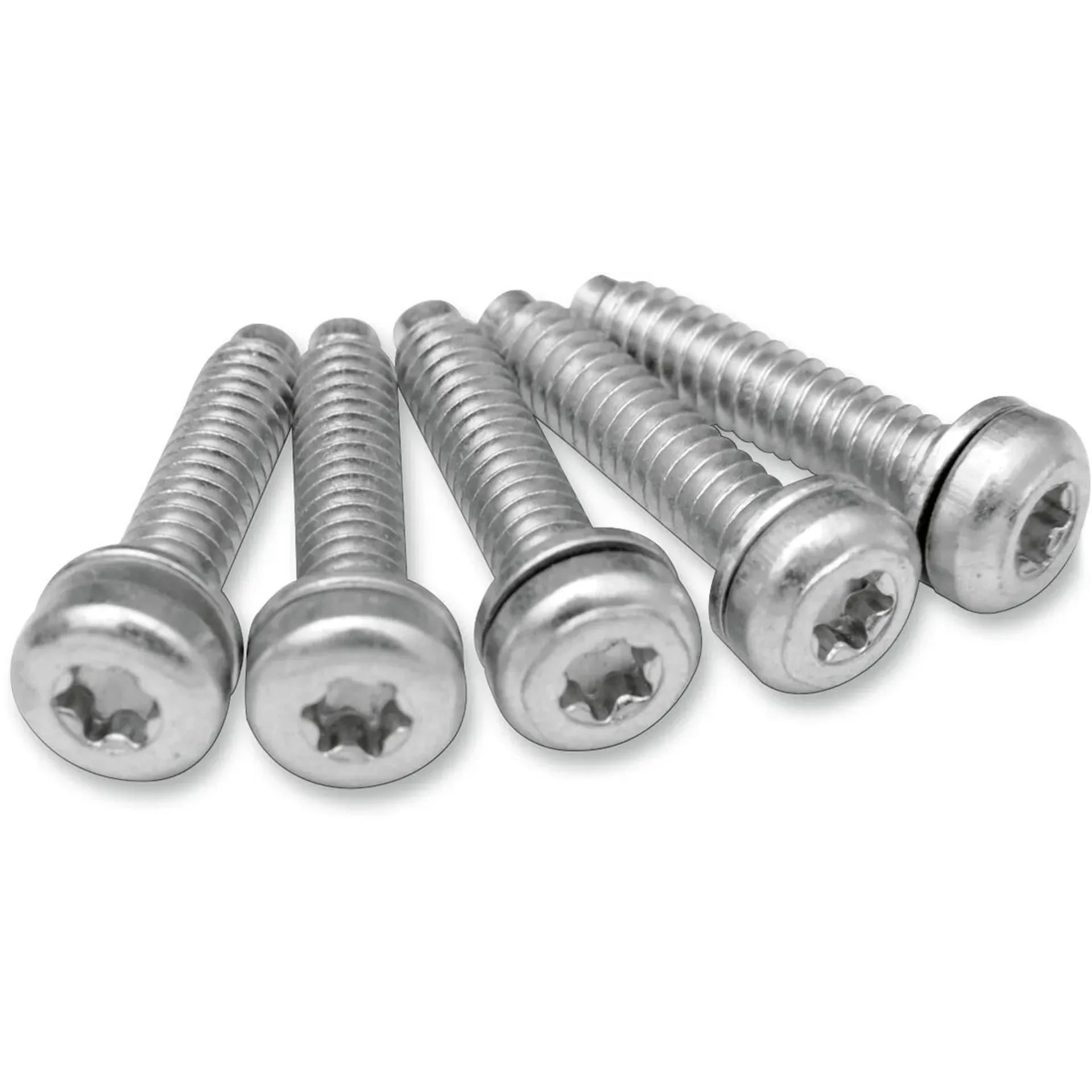 Efi Mount Screws