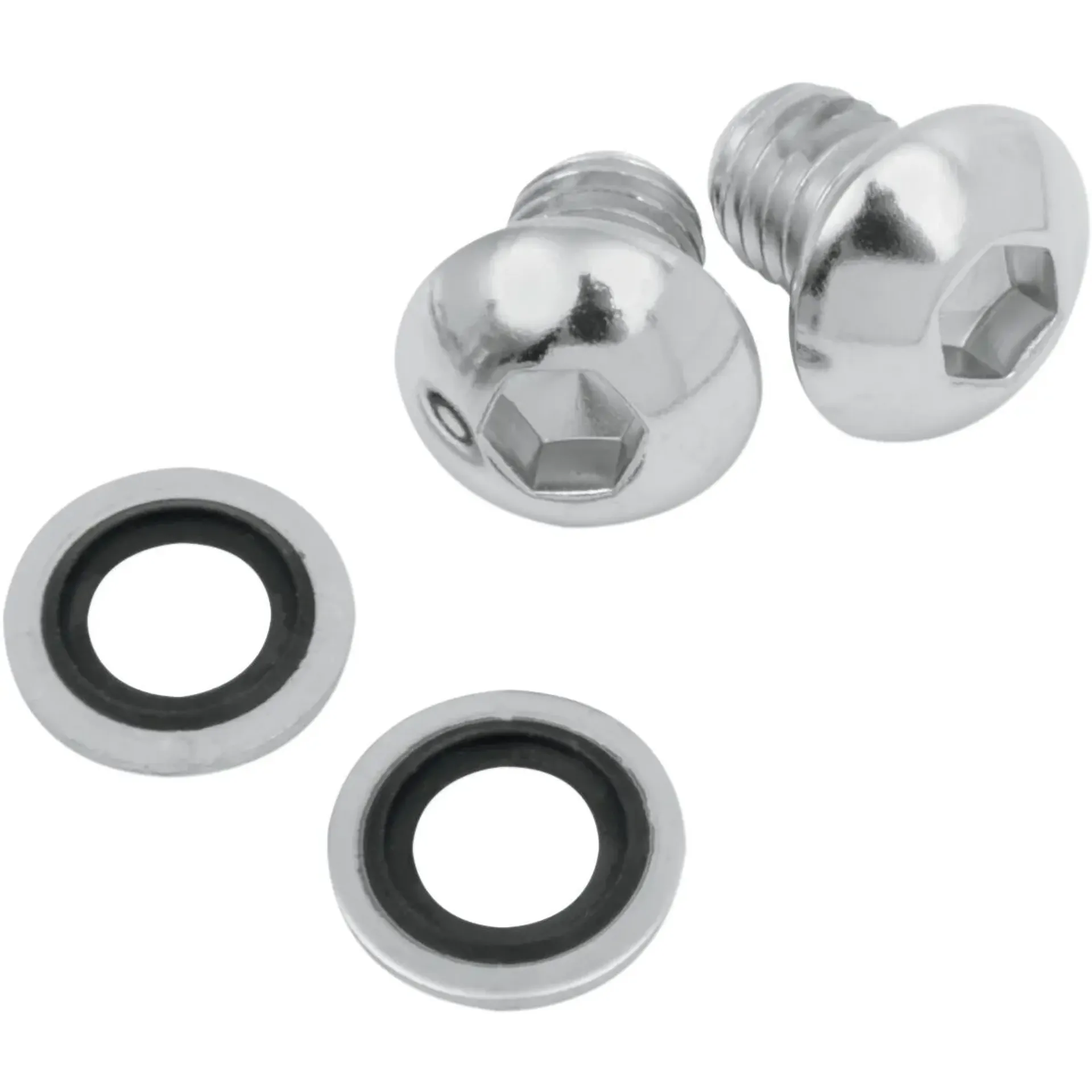 Screw Kit Fork Drain