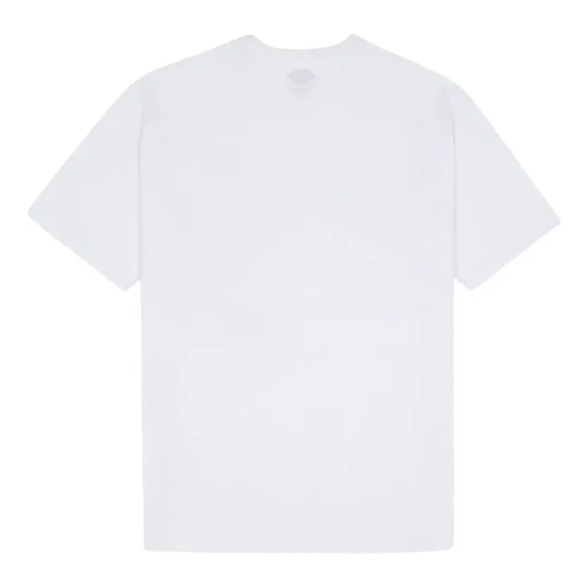 Dickies Summerdale t-shirt white
