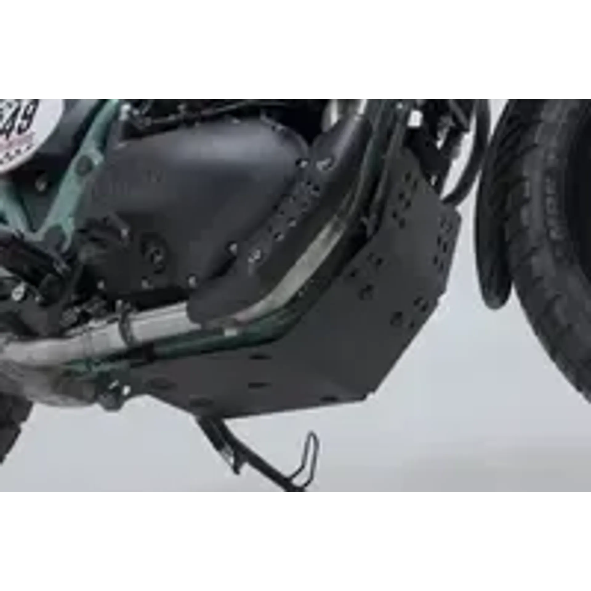 Engine guard