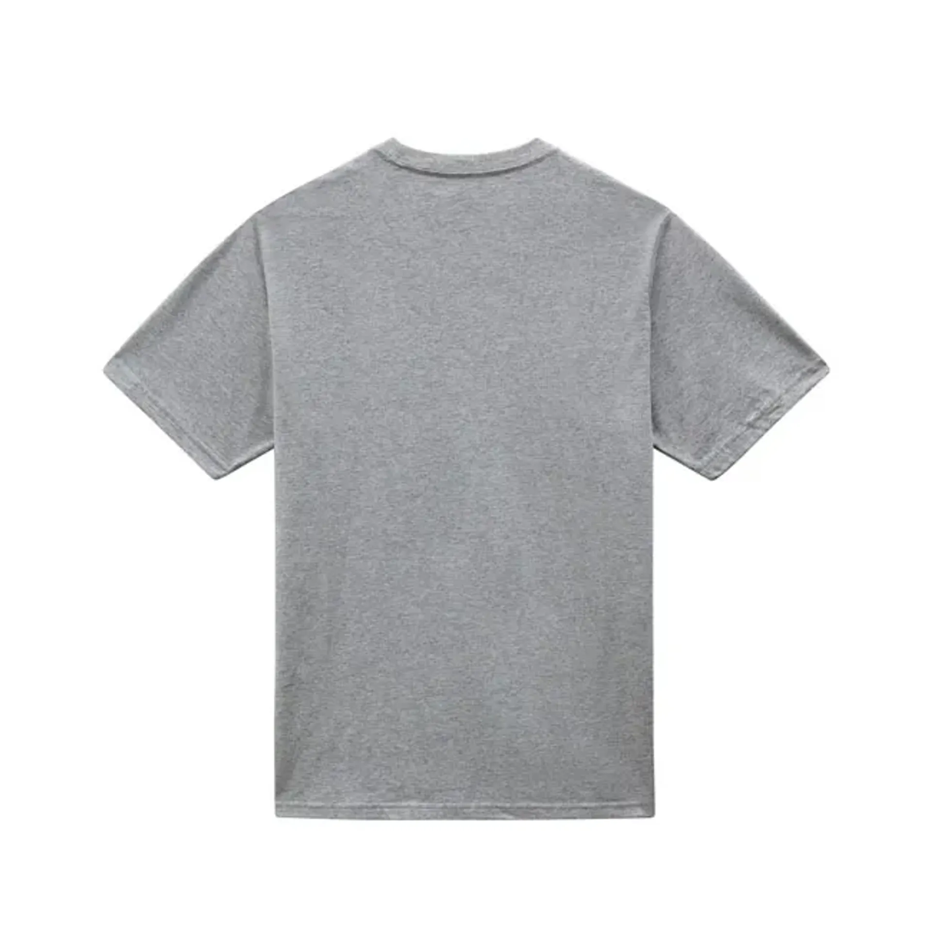 Dickies Mapleton t-shirt gray melange