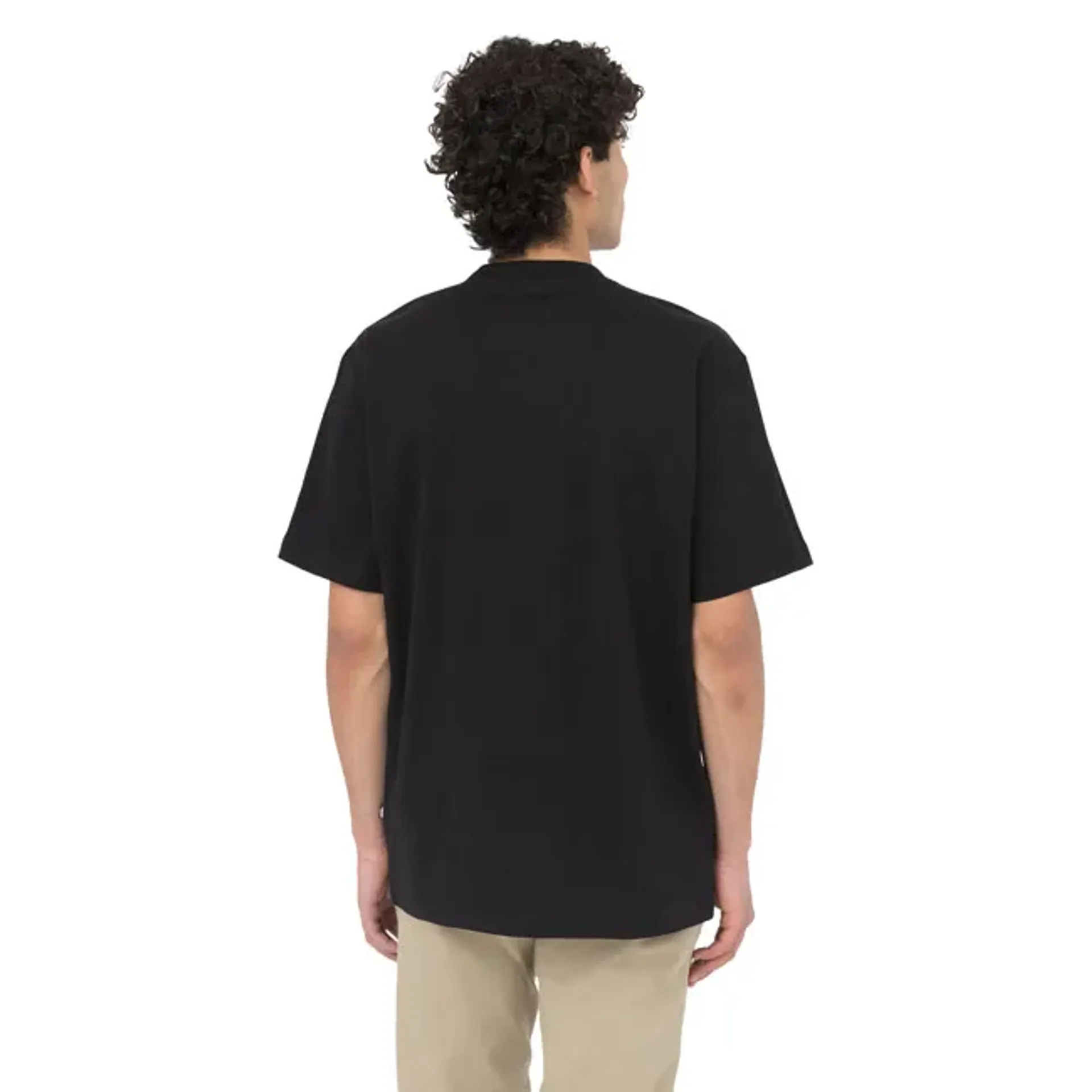 Dickies Summerdale t-shirt black