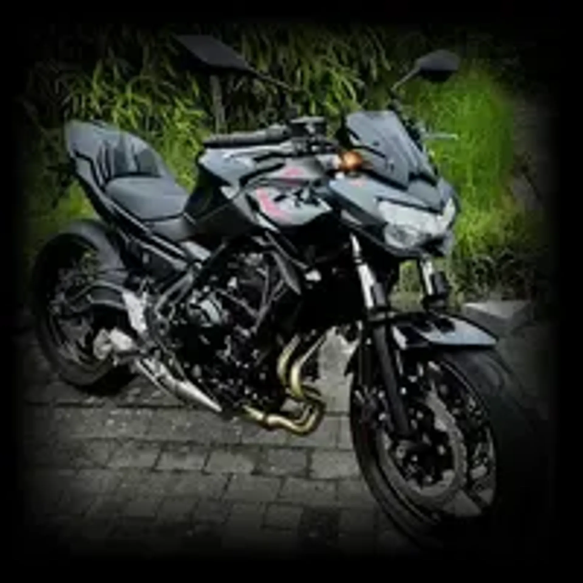 Turn signal blisk clear glass