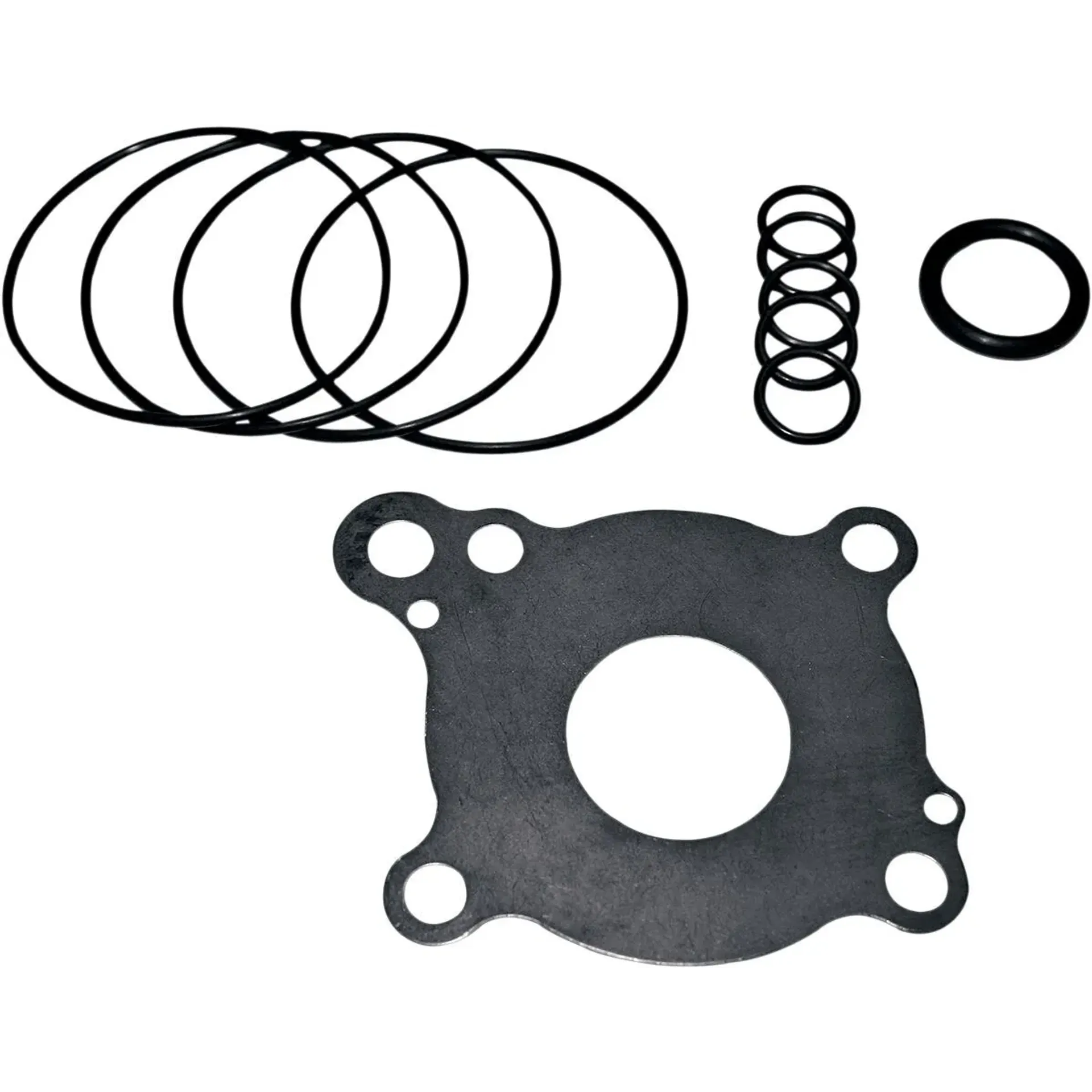 Oil Pump Rebuild Kit