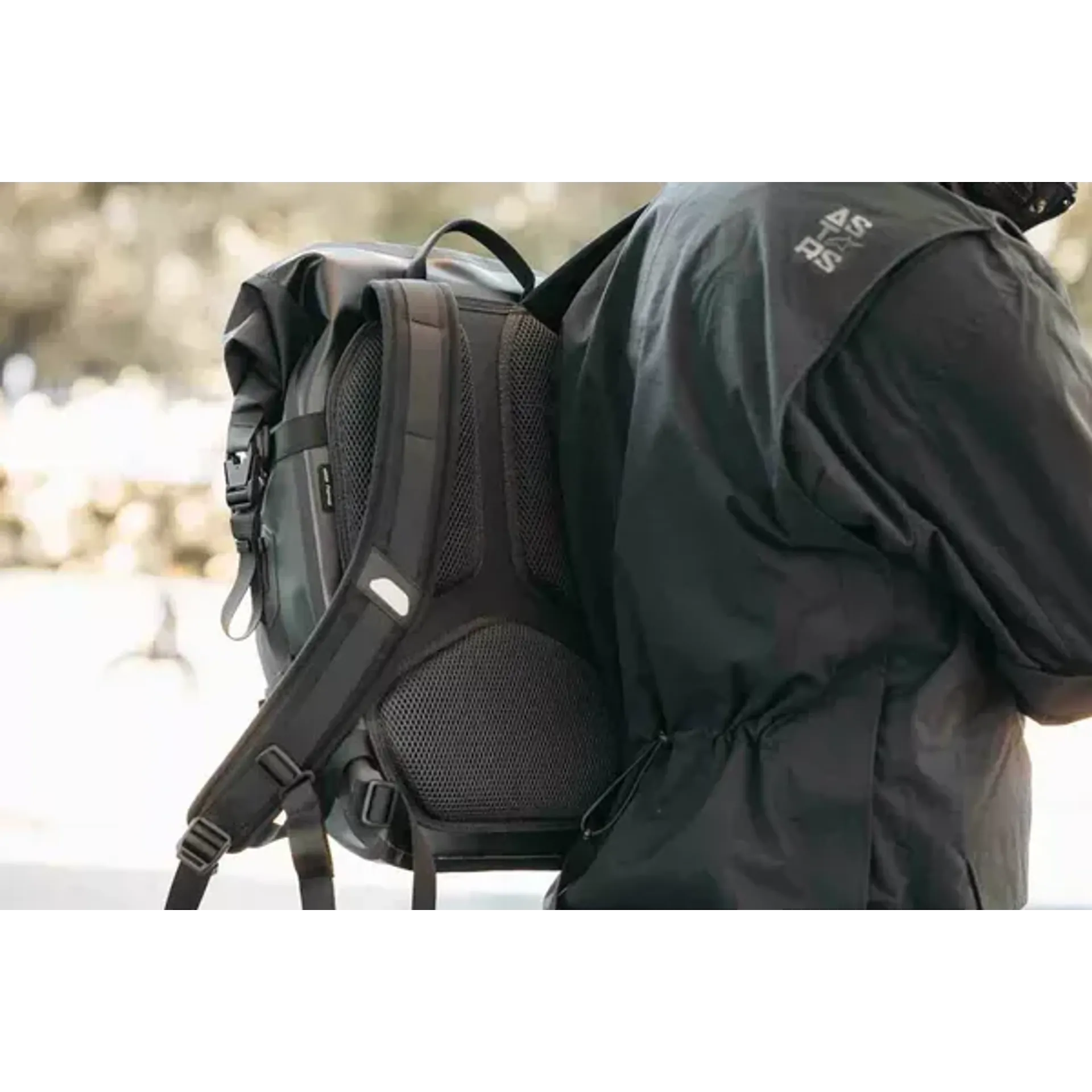Backpack daily wp