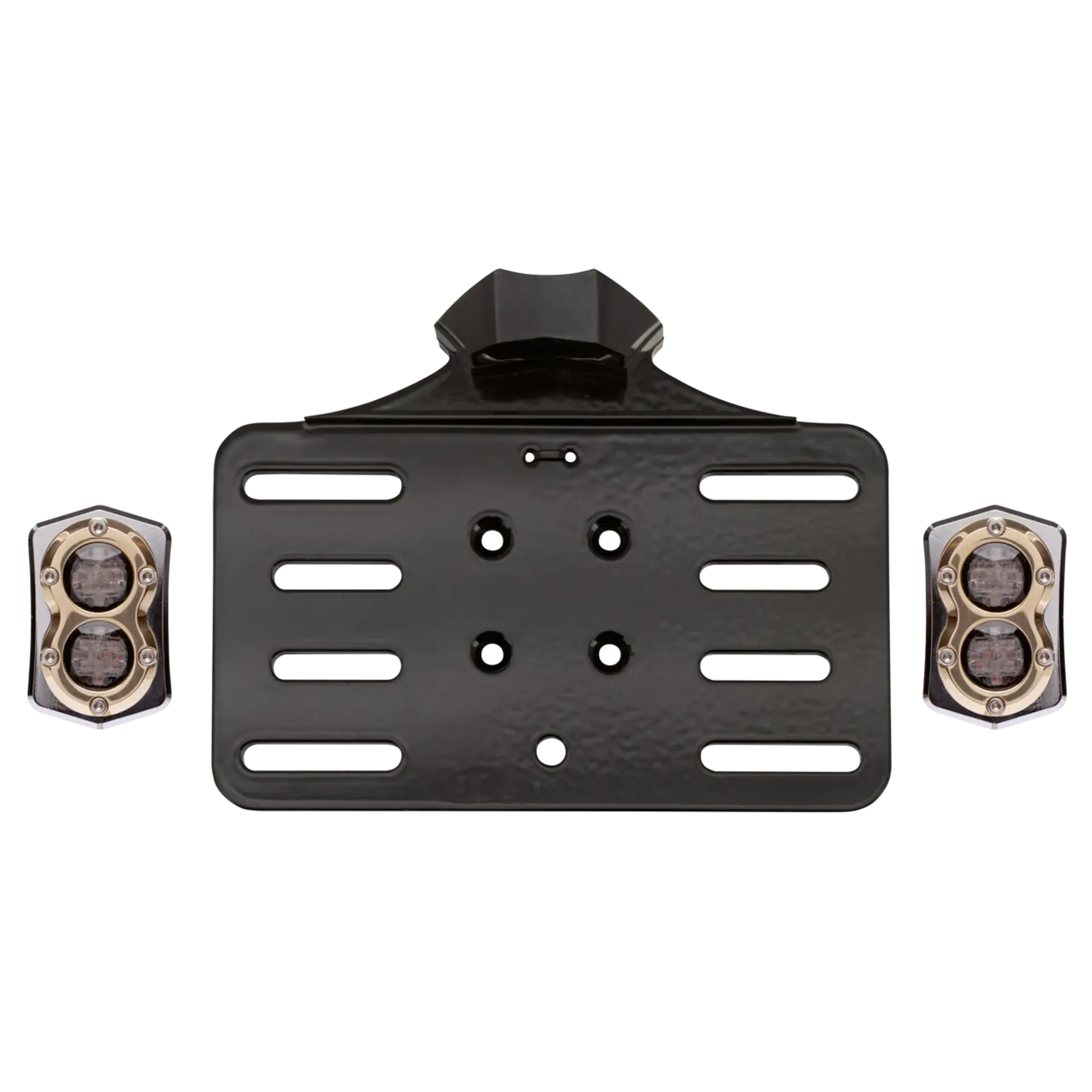 Vity’s Taillight/licenseplte kit chr/brs