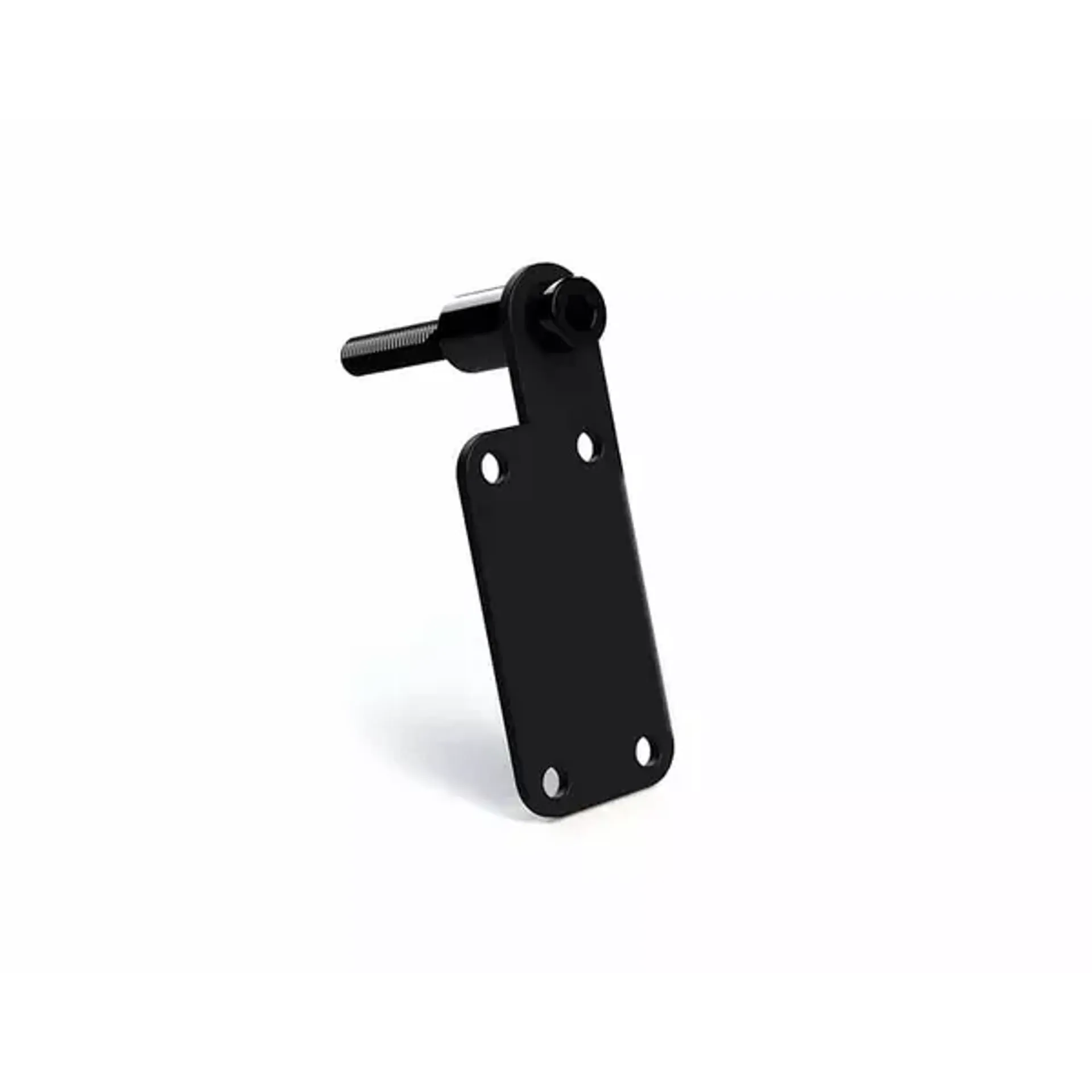Switch mount – perch