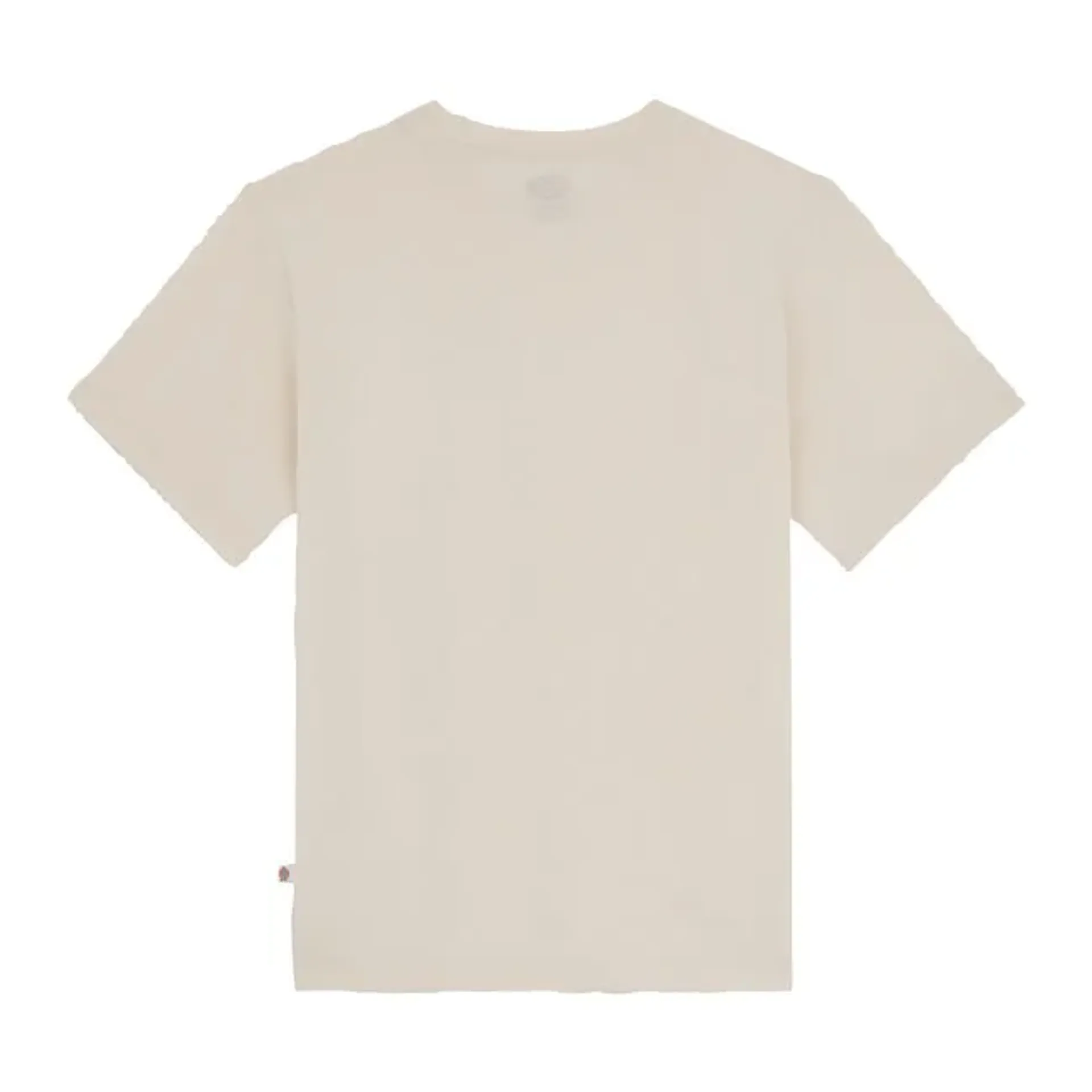 Dickies Mapleton t-shirt whitecap gray