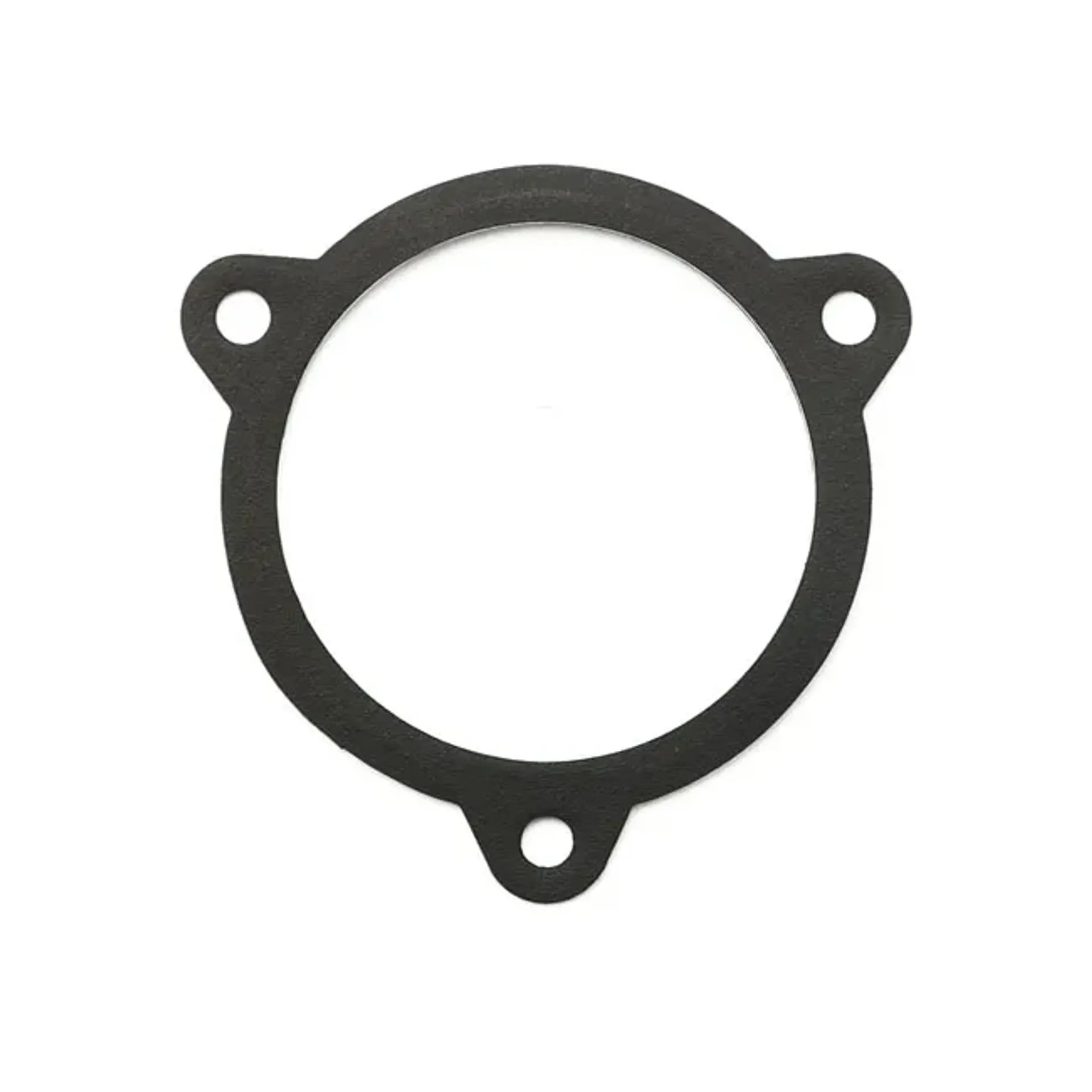James, throttle body/filter to air cleaner housing gasket