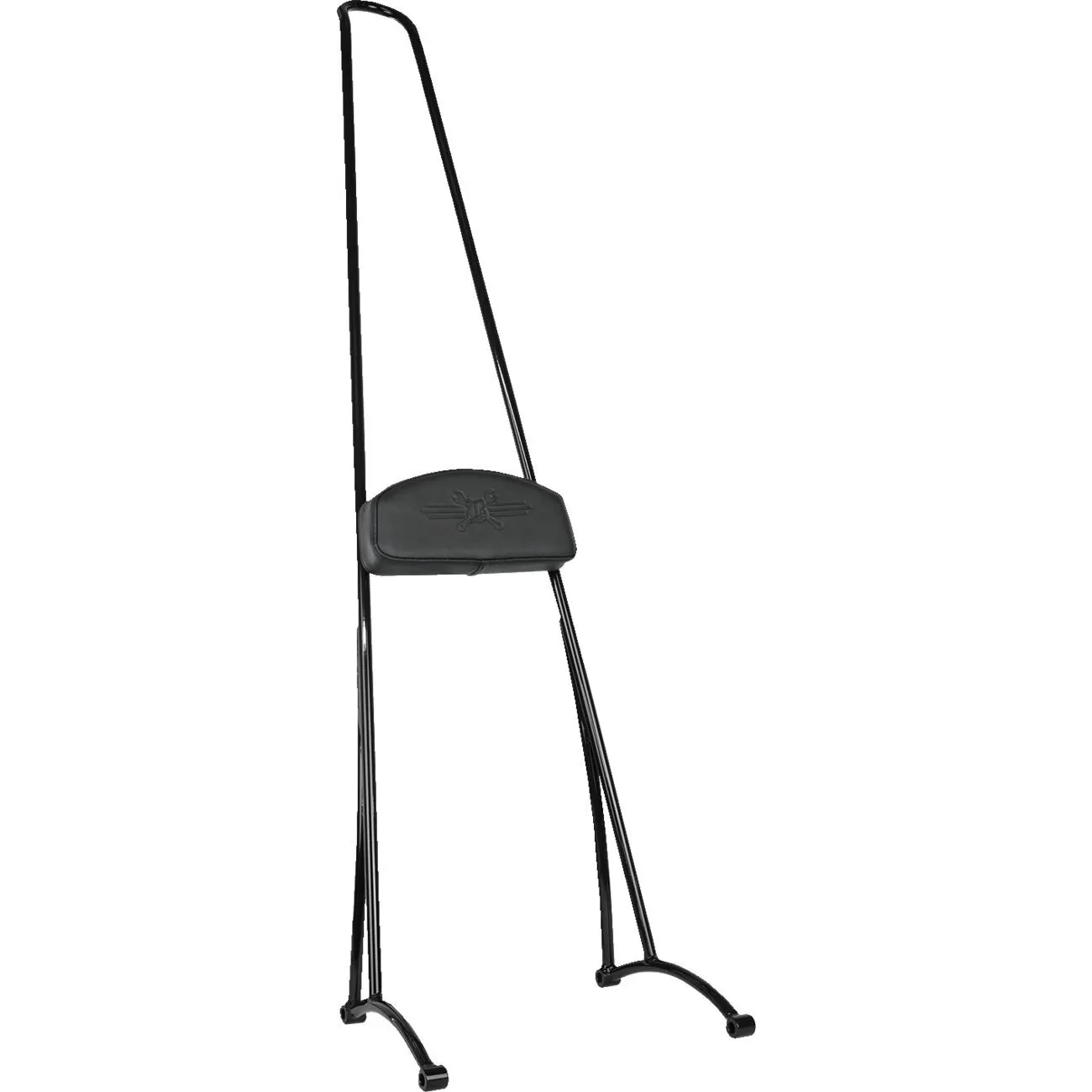 Stupid Tall Sissy Bar