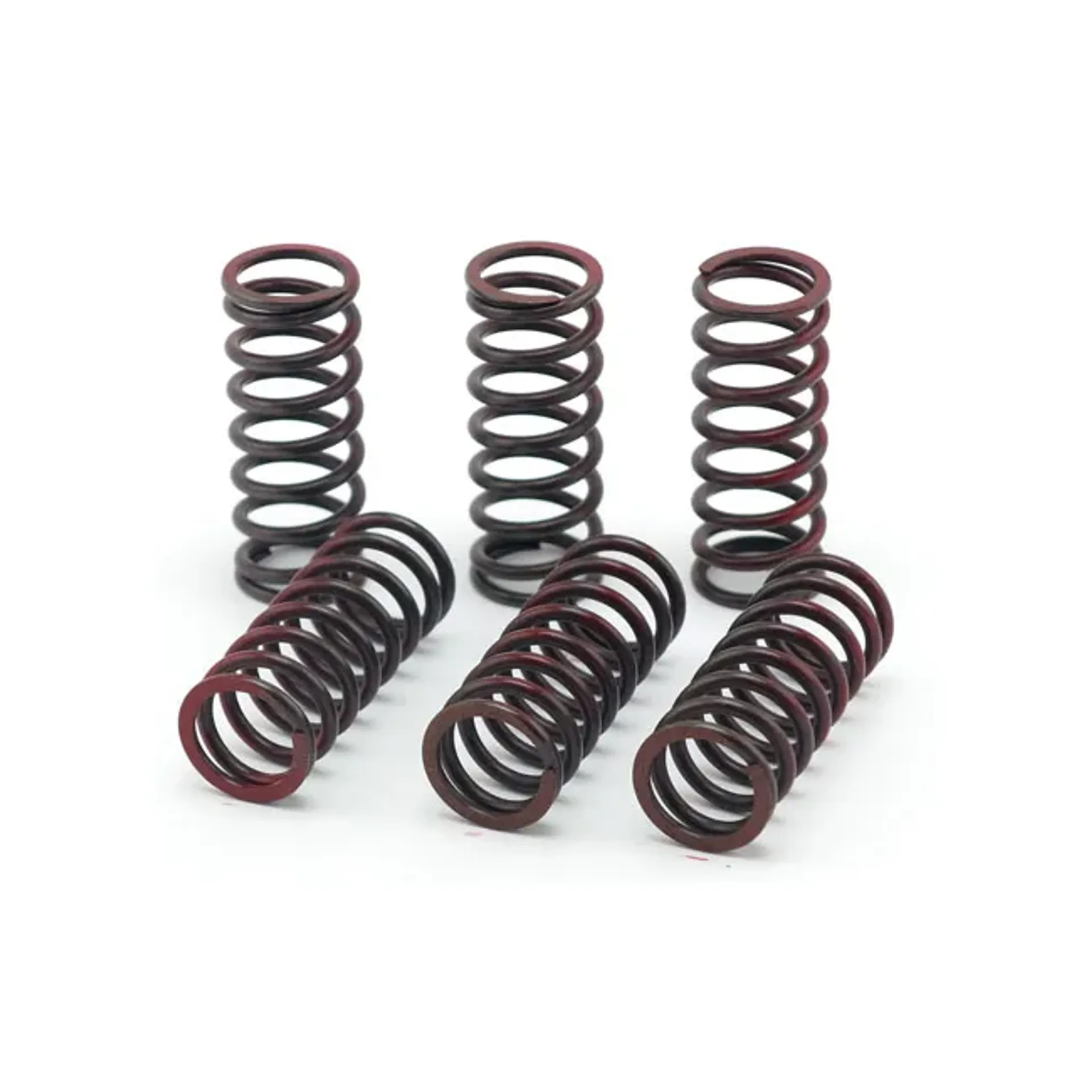 TRW clutch spring kit