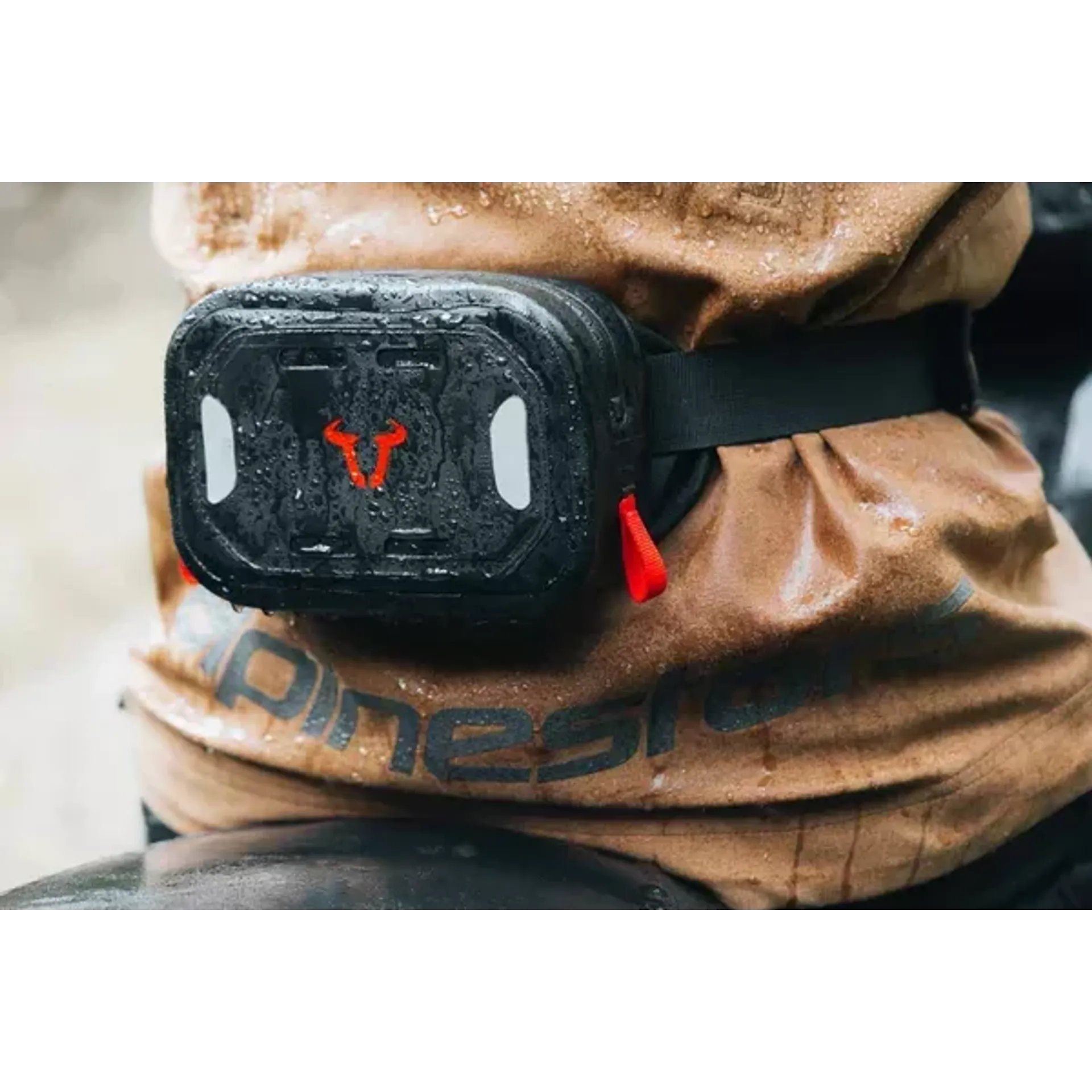 Belt wp