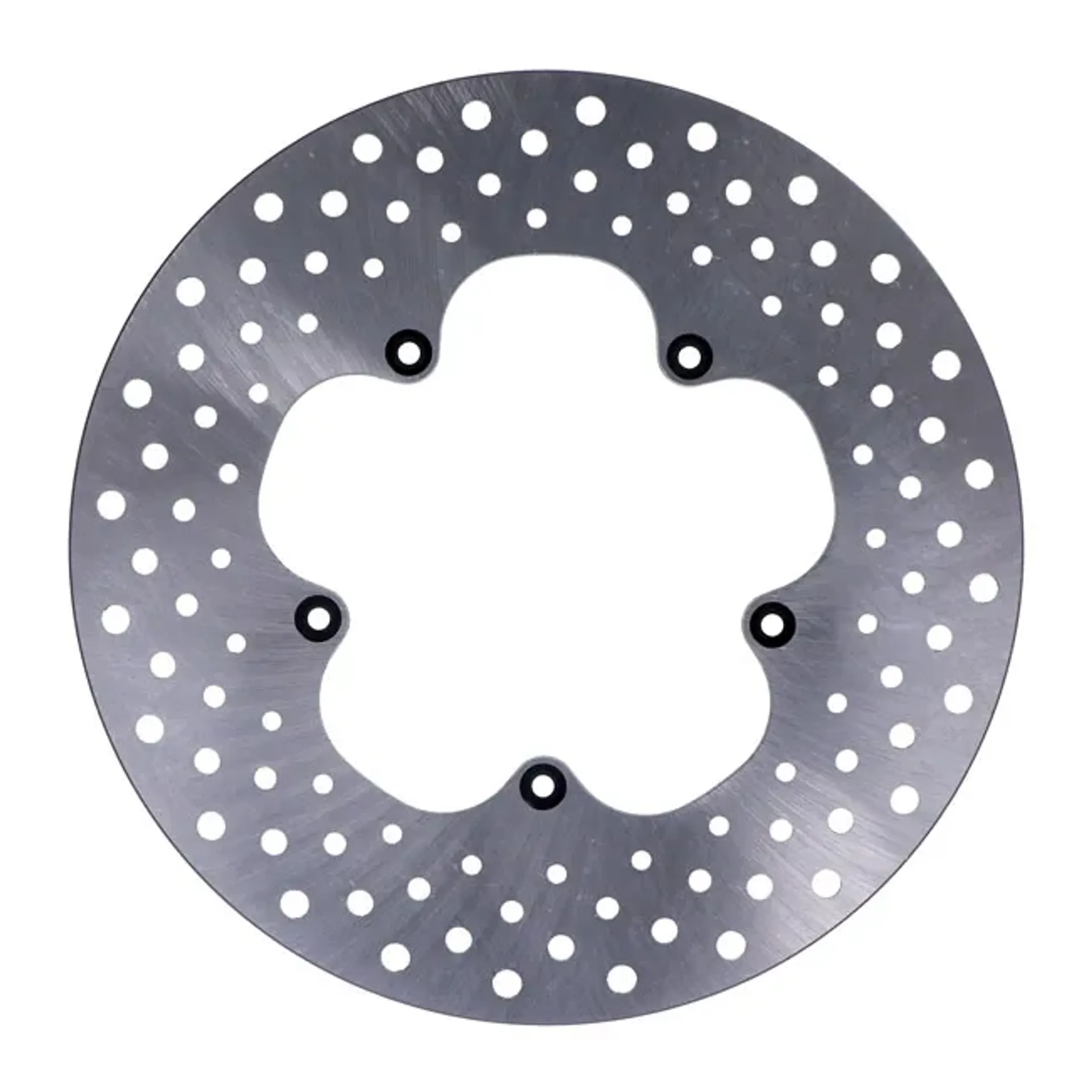 Brake rotor stainless drilled 11.5"