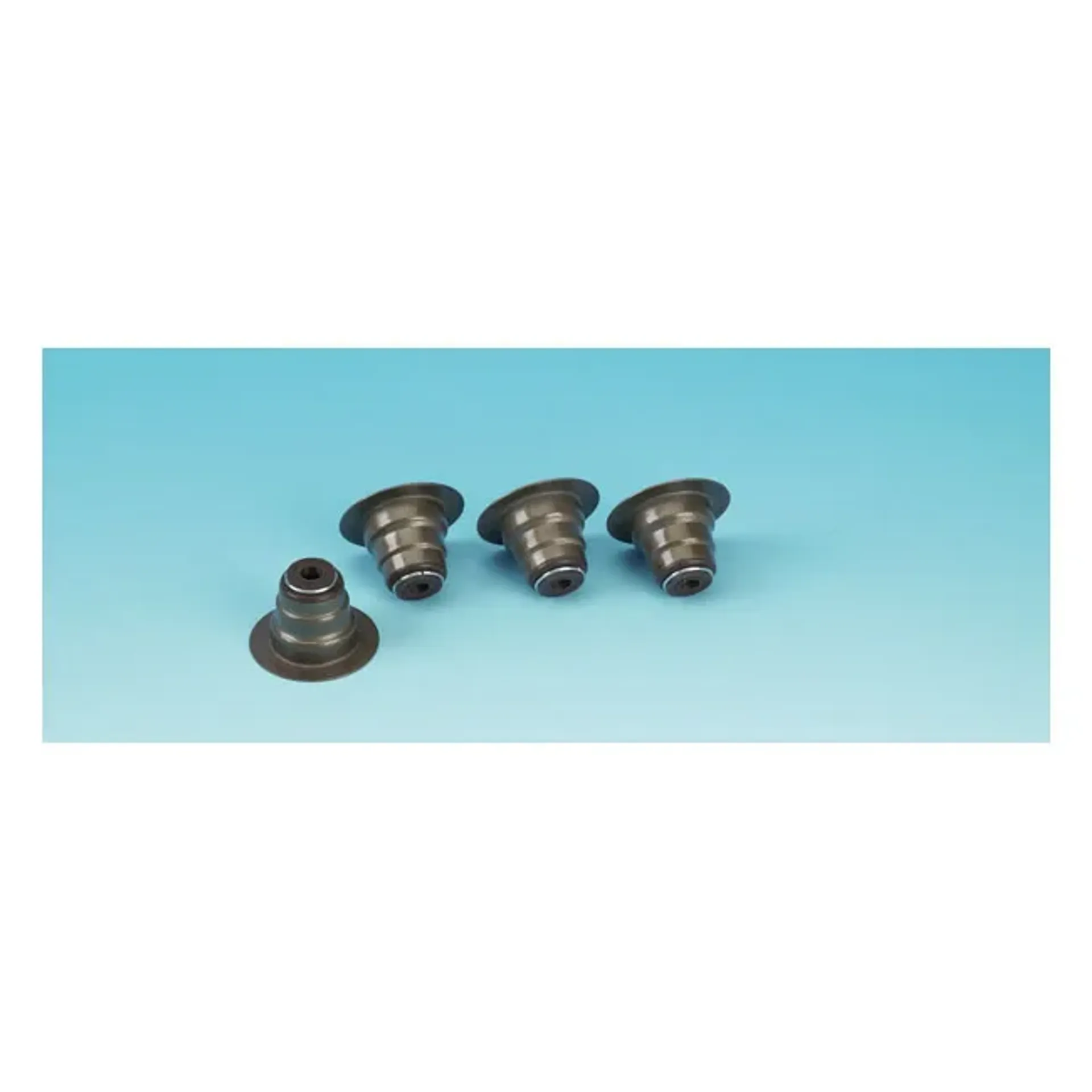 James, valve guide seal kit. Viton. 4-pk