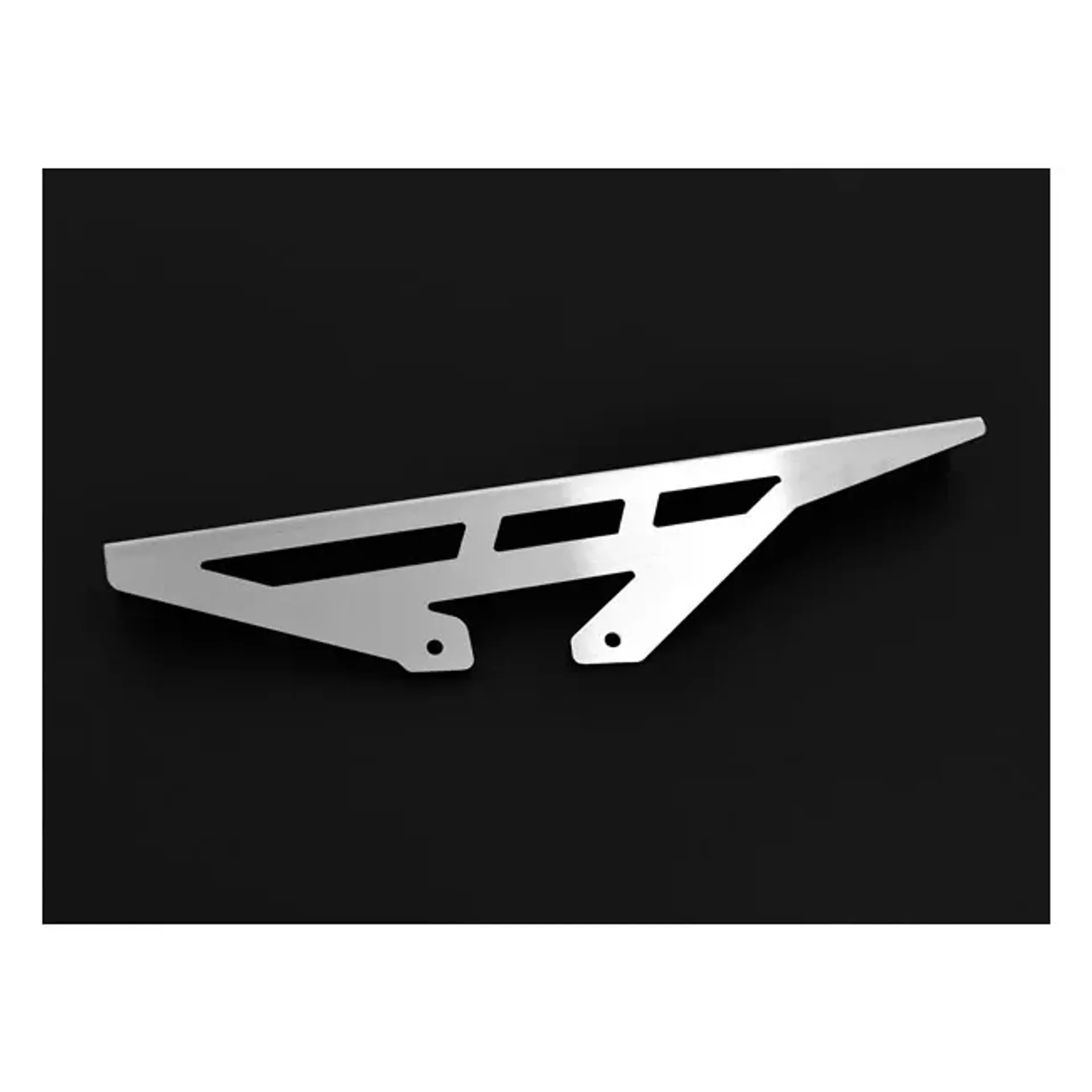 Zieger chain guard silver