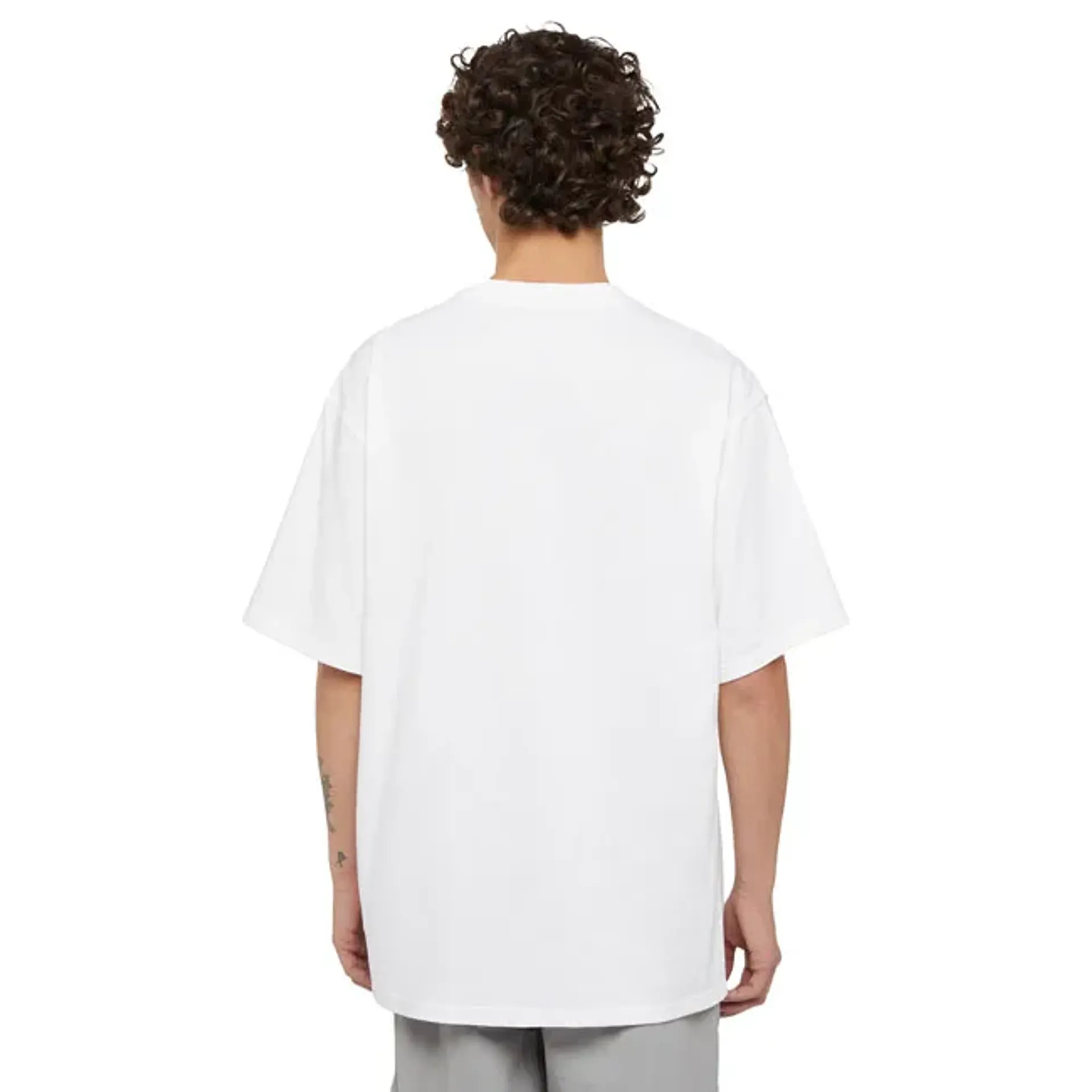 Dickies Clancy Heavyweight t-shirt white