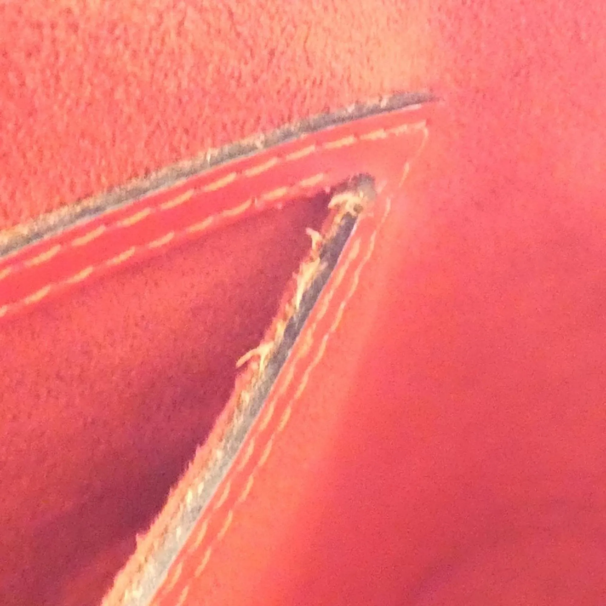 LOUIS VUITTON Red Alma Bag