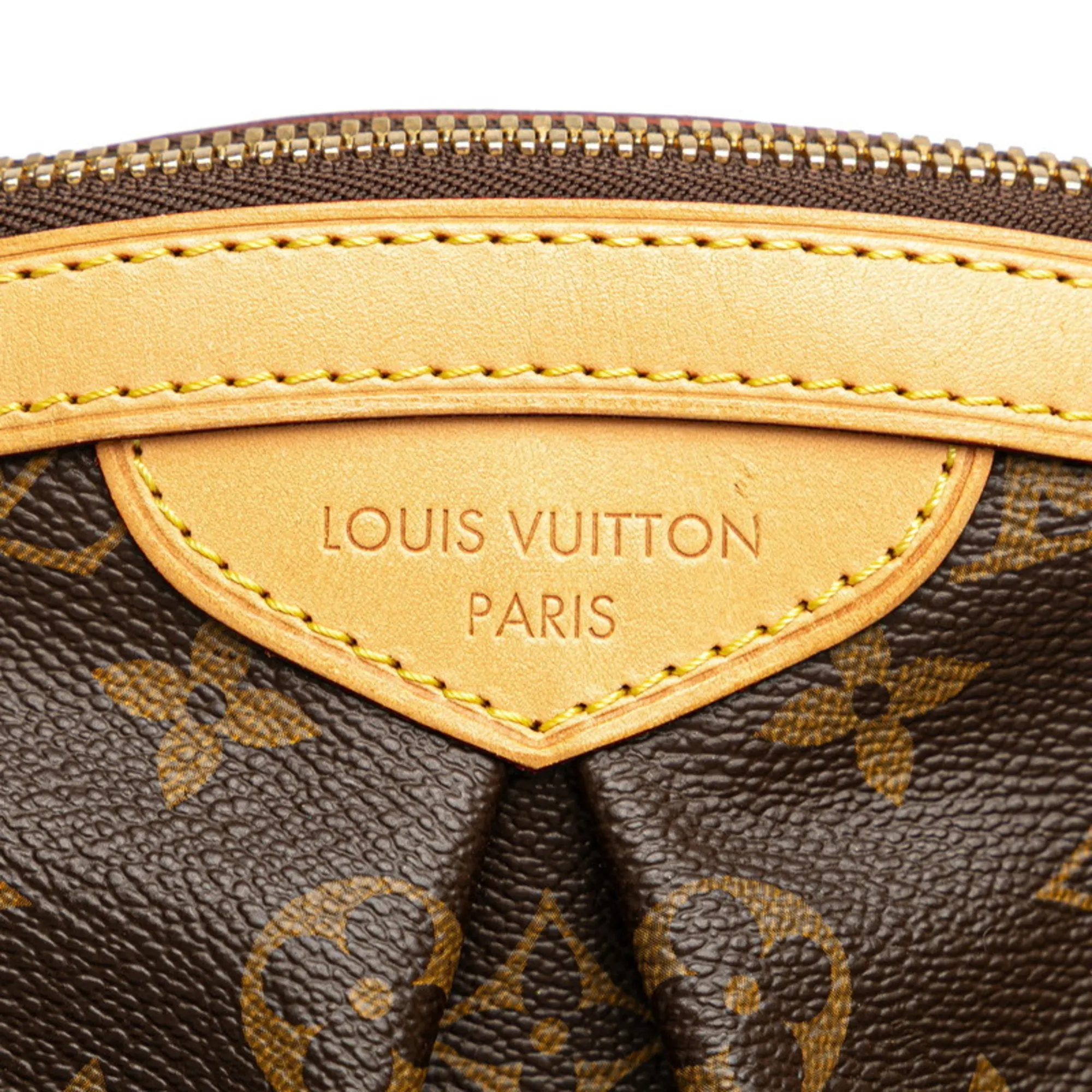 LOUIS VUITTON Brown Monogram Leather Bag