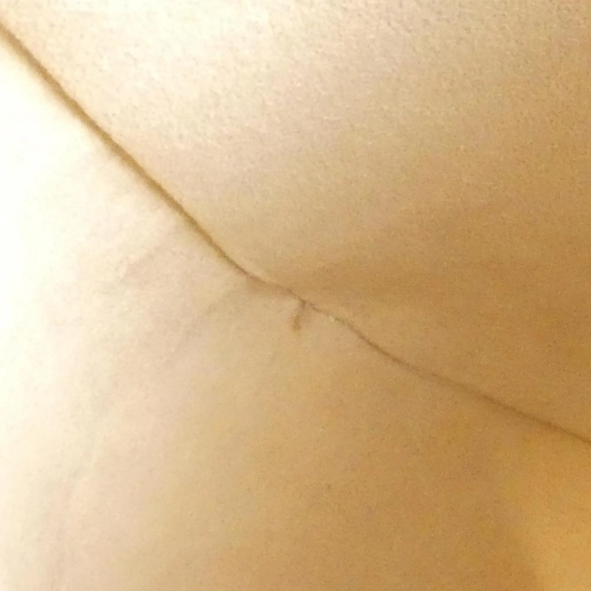 LOUIS VUITTON Brown Monogram Shoulder Bag