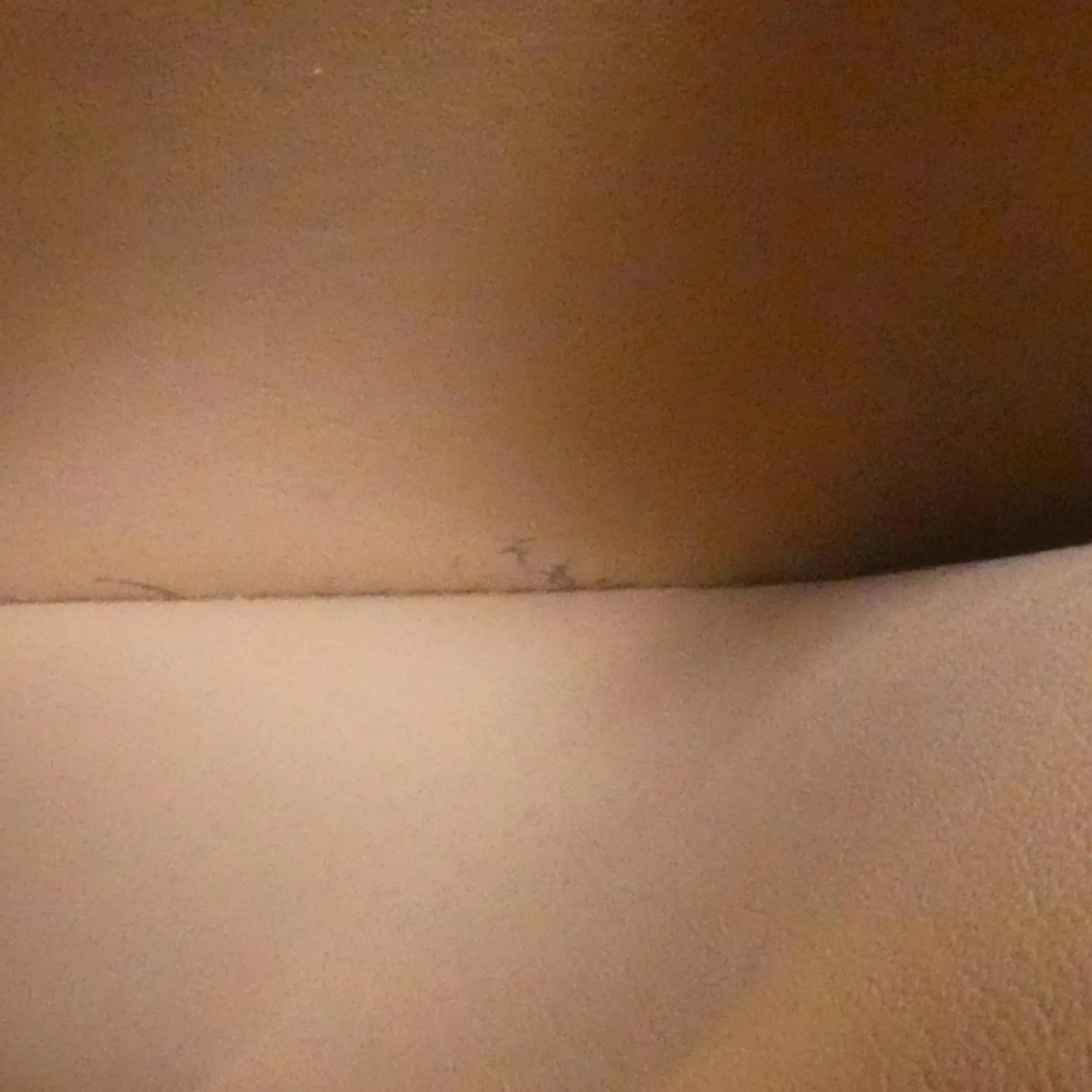 LOUIS VUITTON Gold Bag