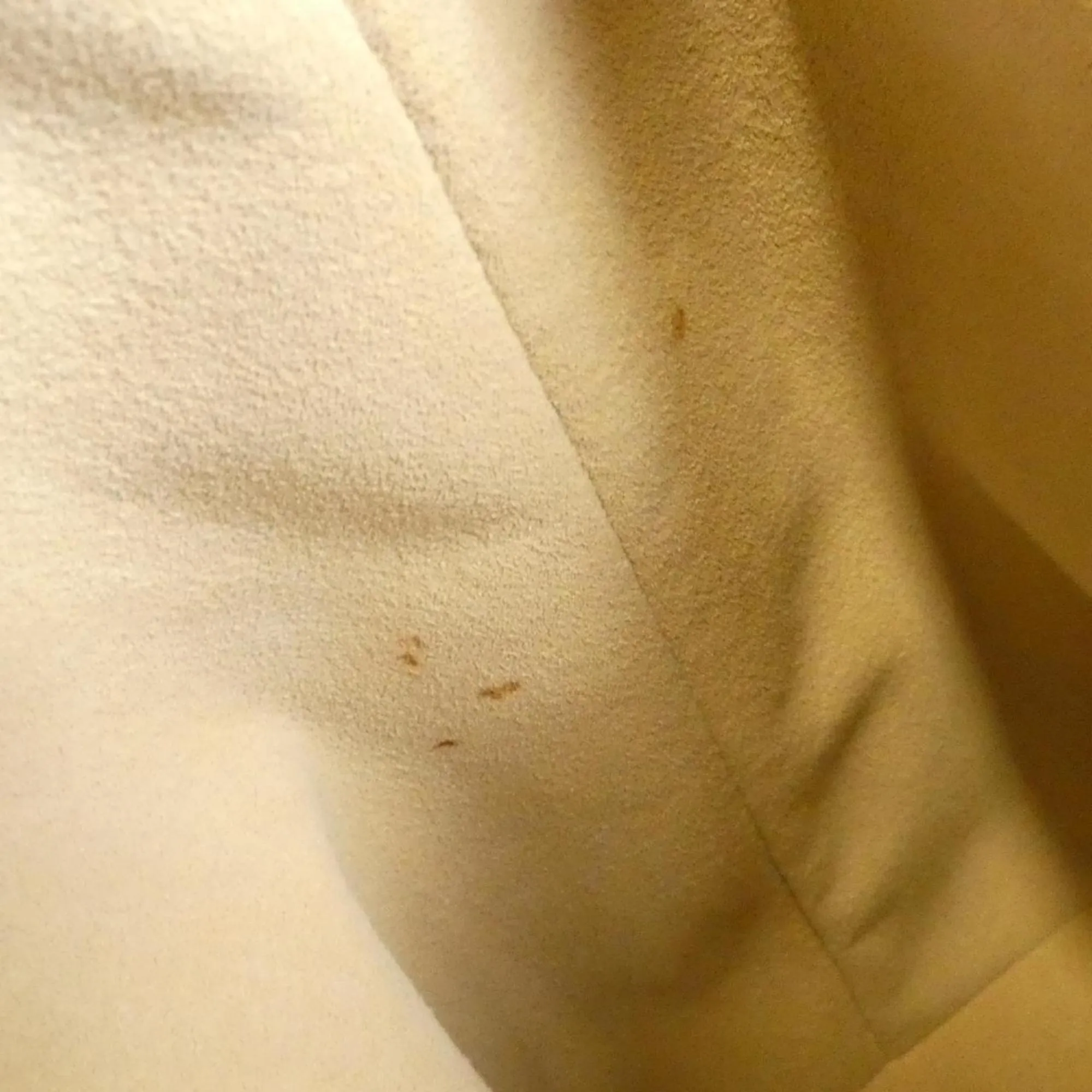 LOUIS VUITTON Gold Damier Bag