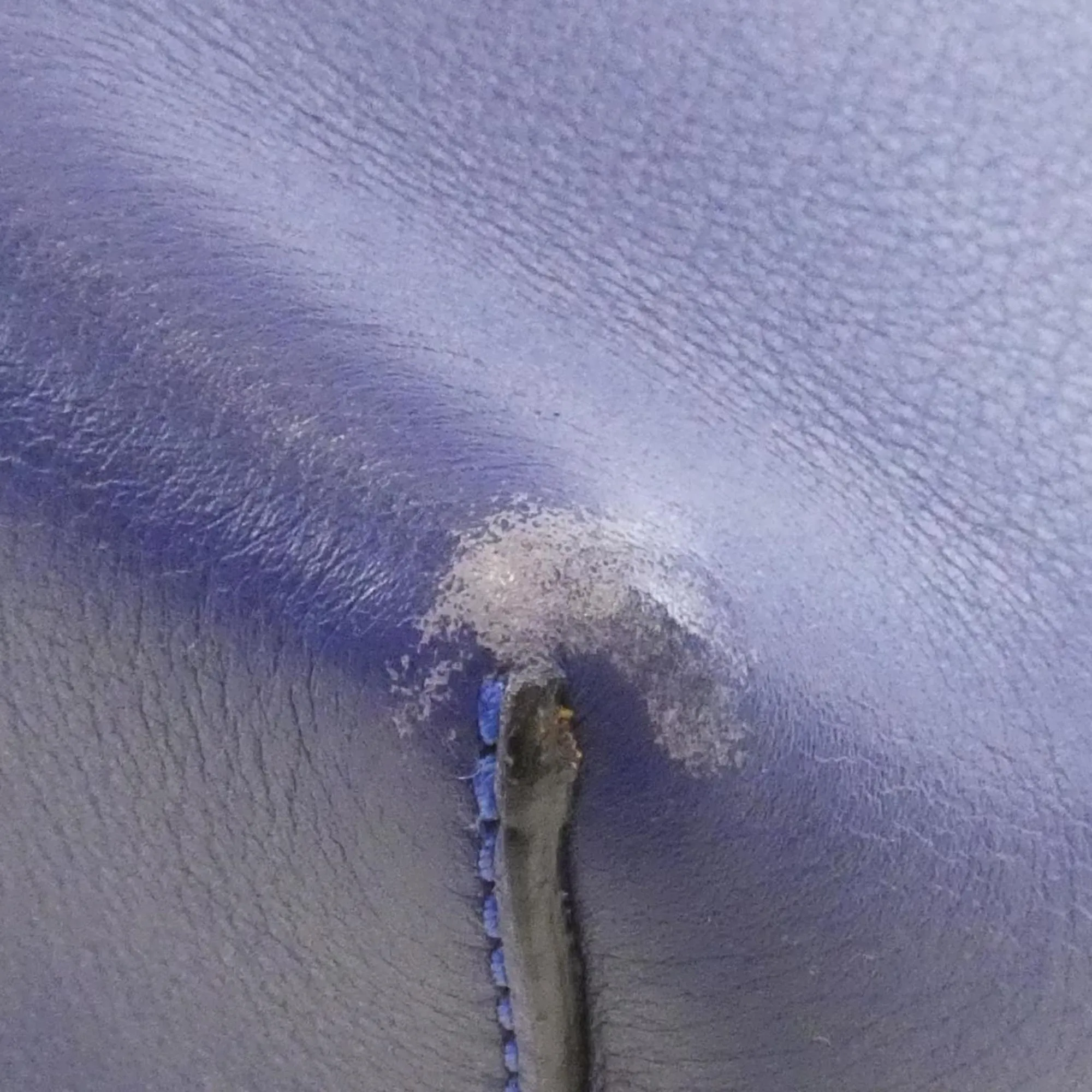 LOEWE Blue Shoulder Bag