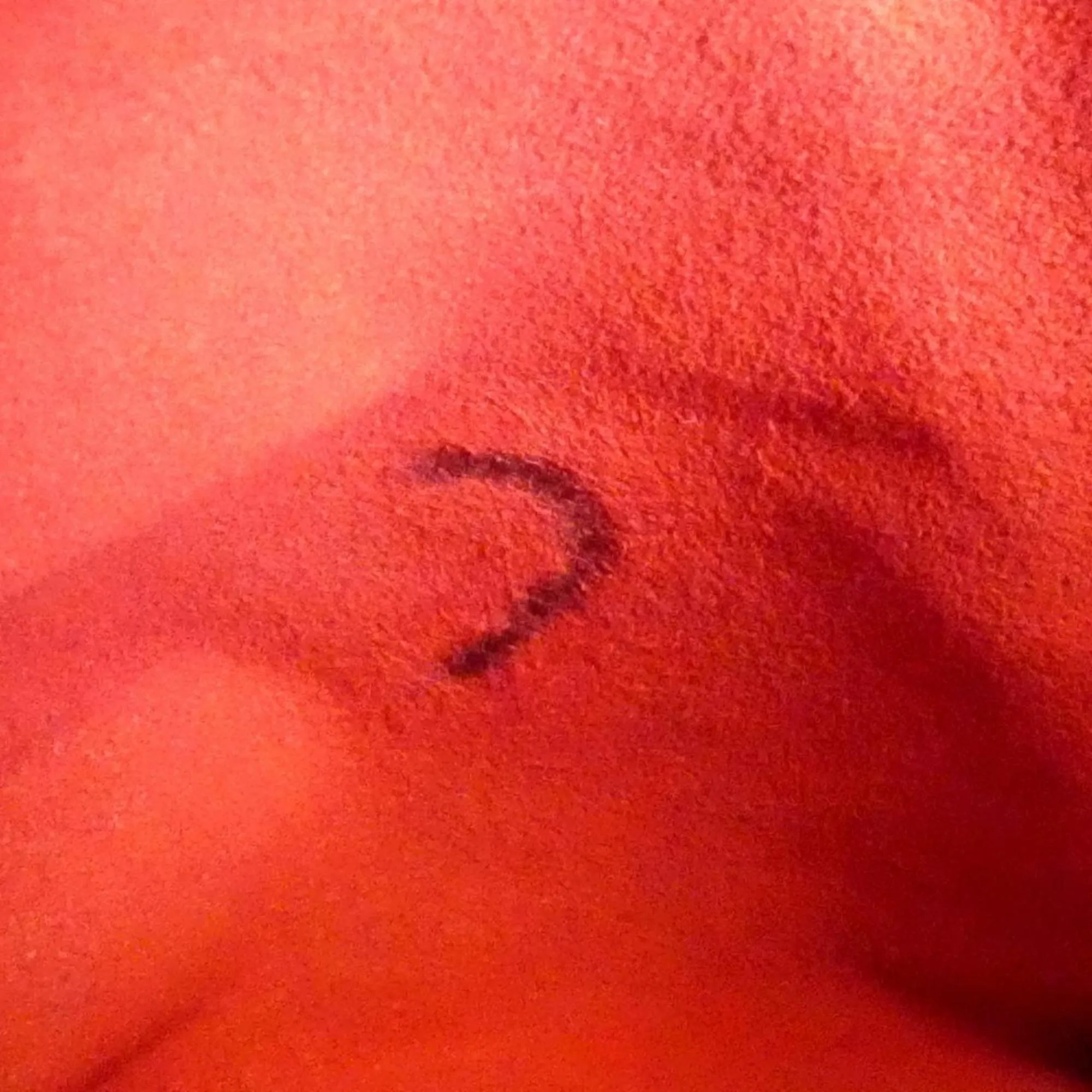 LOUIS VUITTON Brown Damier Bag