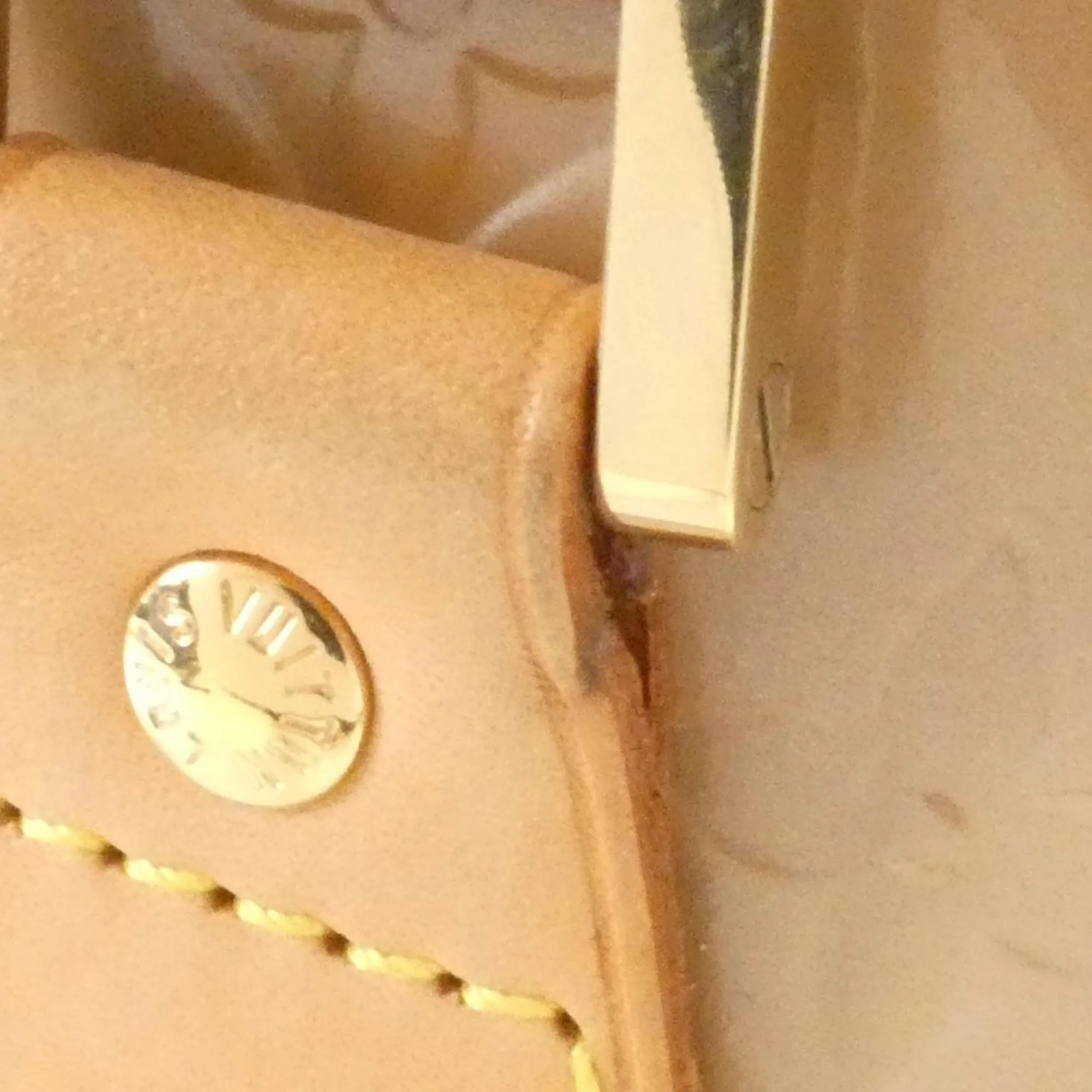 LOUIS VUITTON Gold Bag