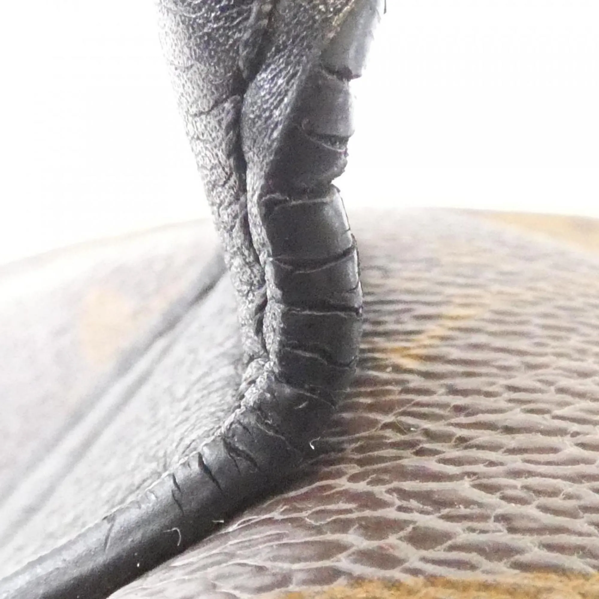 LOUIS VUITTON Brown Monogram Backpack