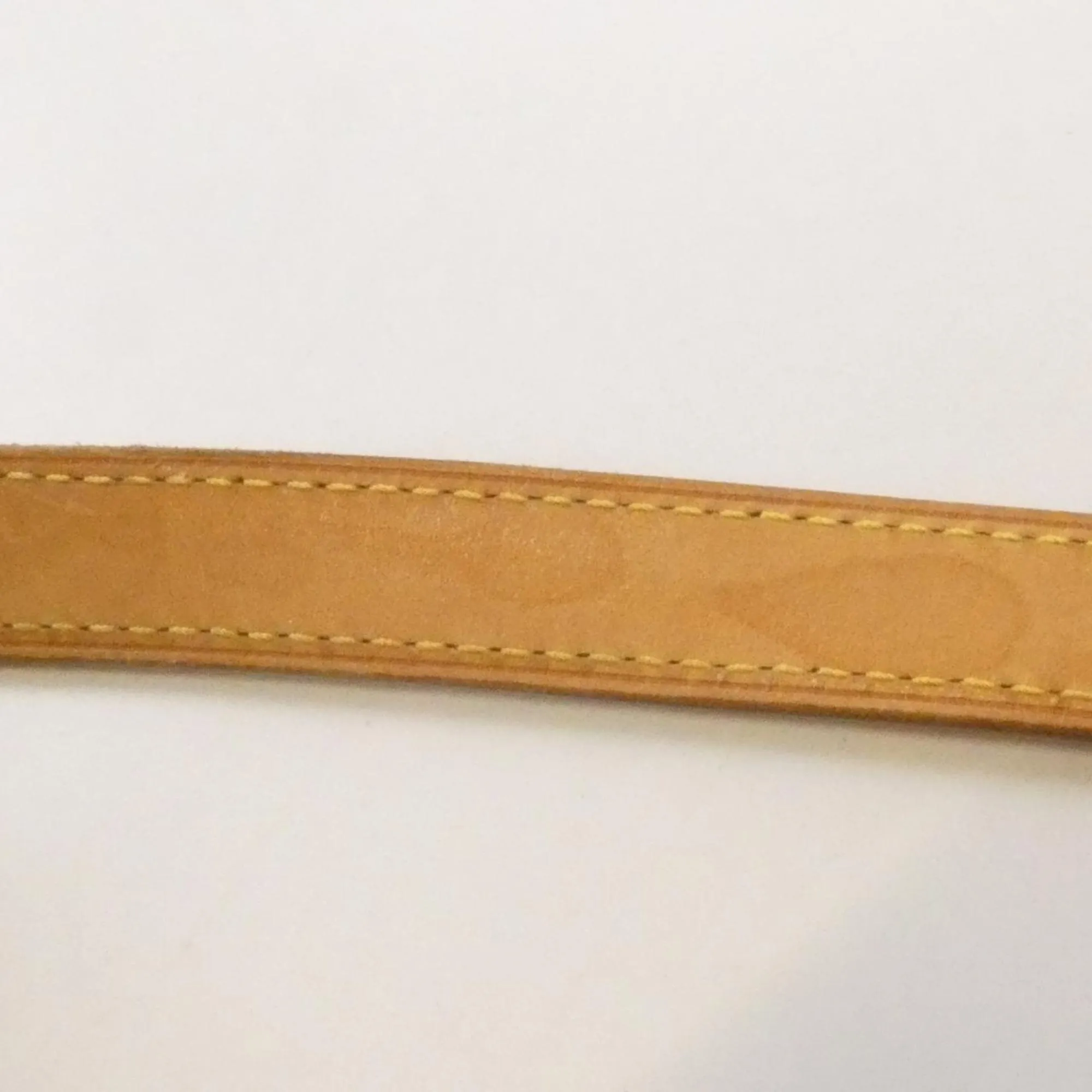 LOUIS VUITTON Gold Bag