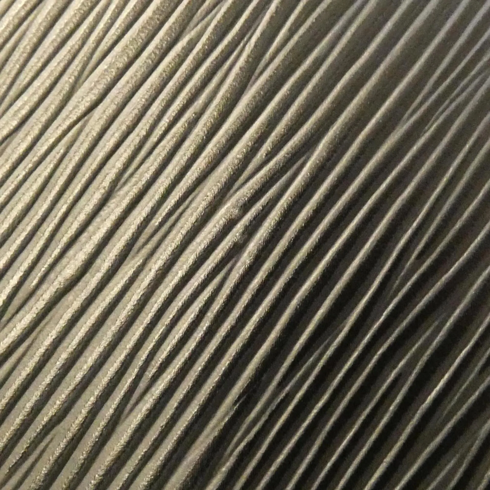 LOUIS VUITTON Black Bag