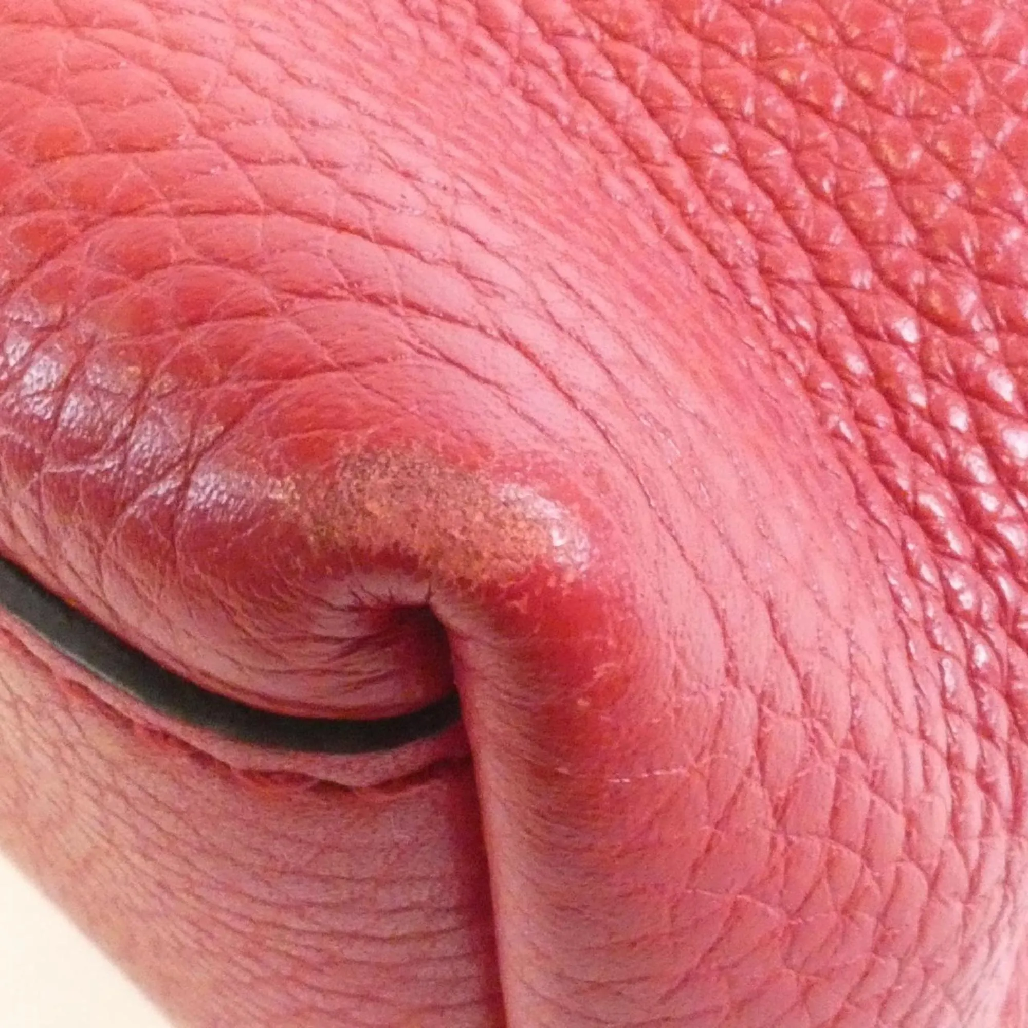 GUCCI Red Shoulder Bag