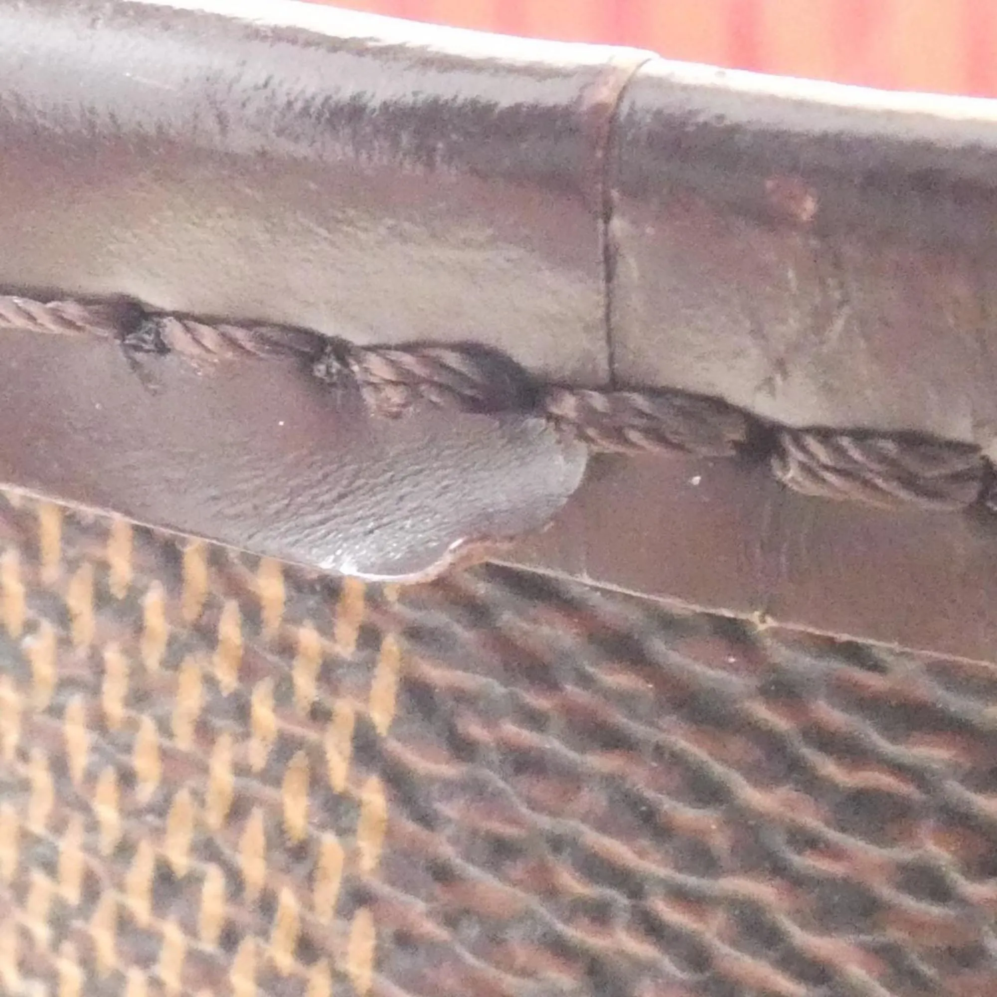 LOUIS VUITTON Brown Damier Neverfull MM Bag